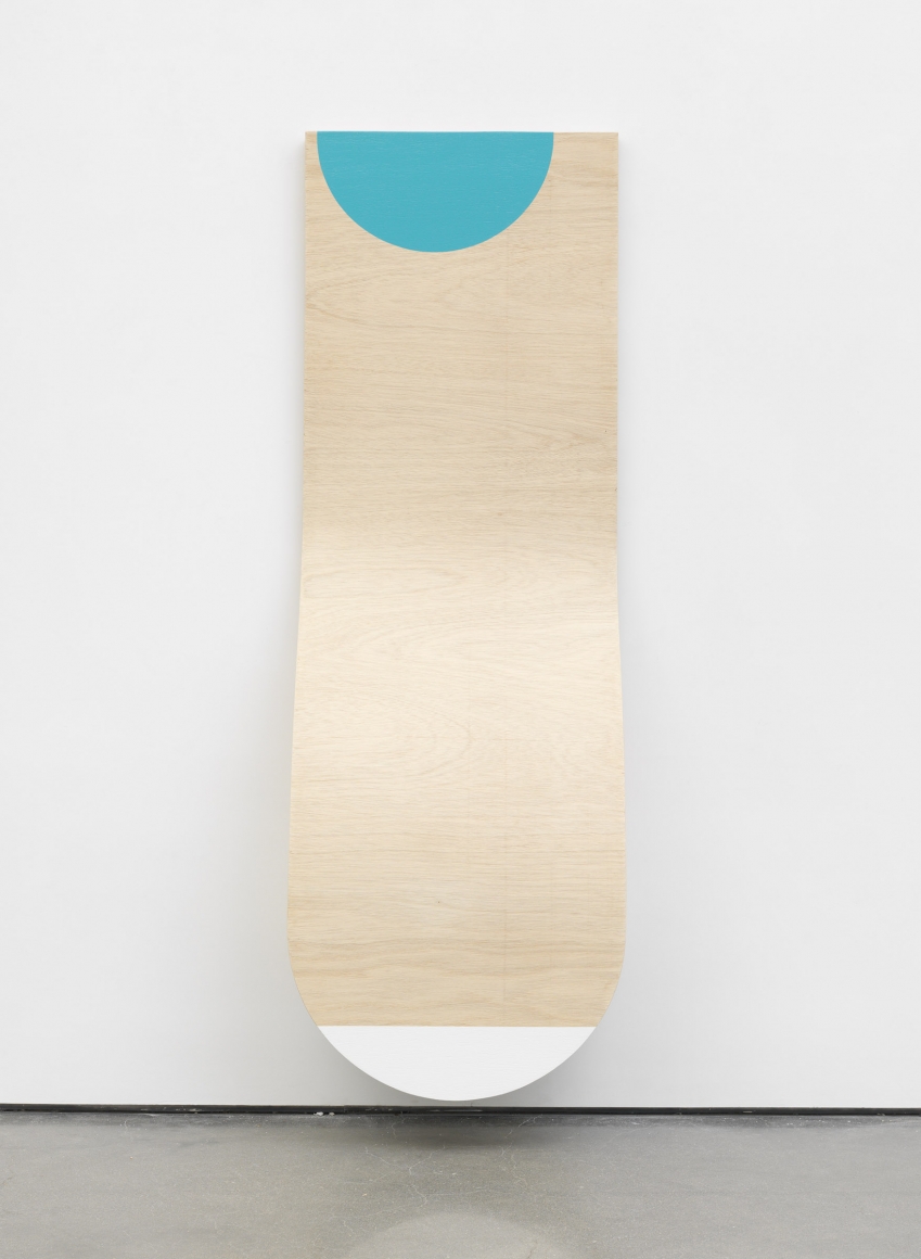 Personal Effects I, 2017, Paint on wood