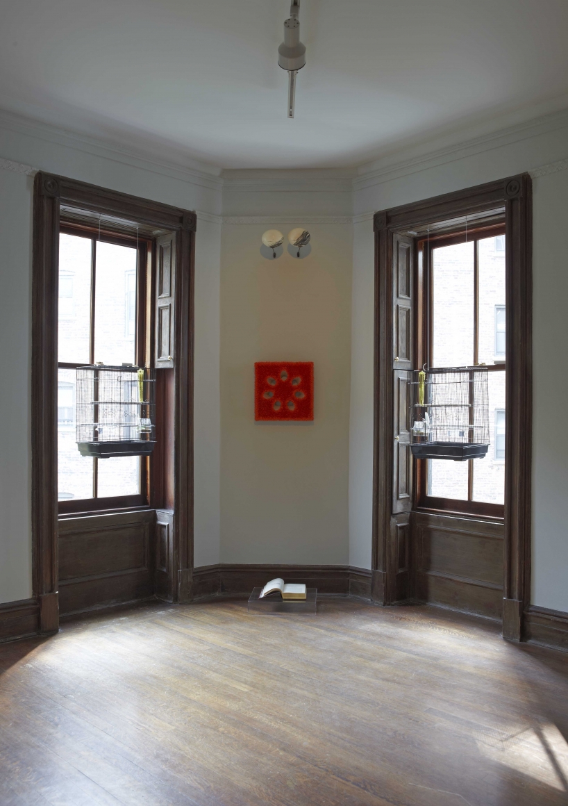 Night Scented Stock (Installation View), Marianne Boesky Gallery, Uptown, 2011