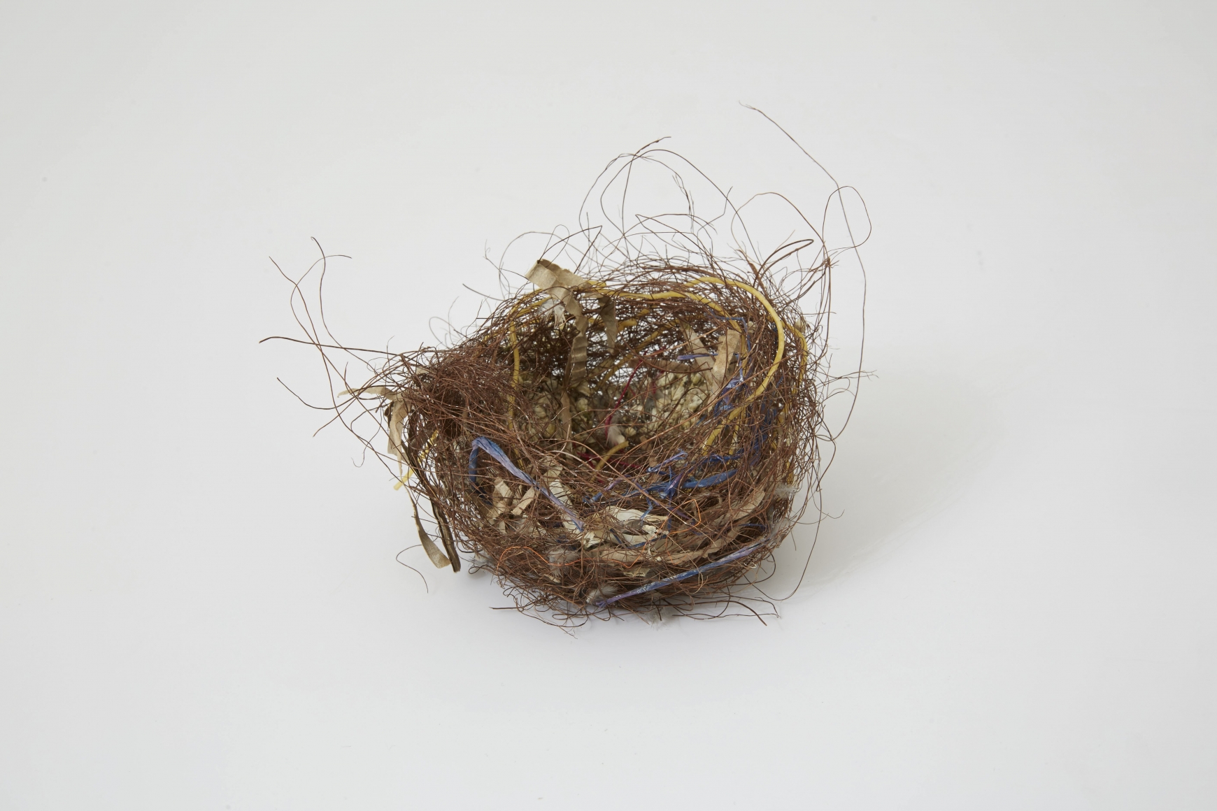 Björn Braun, Untitled (zebra finch nest), 2015
