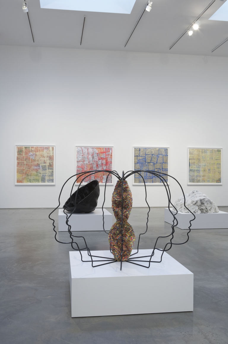 Breaking Open The Head (Installation View), Marianne Boesky Gallery, 2011