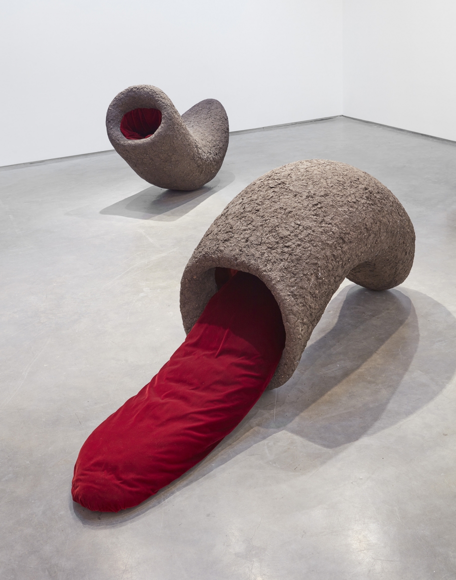 Cells (Installation View) Boesky Gallery, 2017