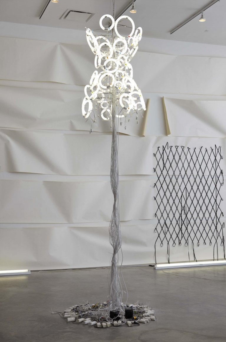 Flourescent (Installation view), Marianne Boesky Gallery, 2011
