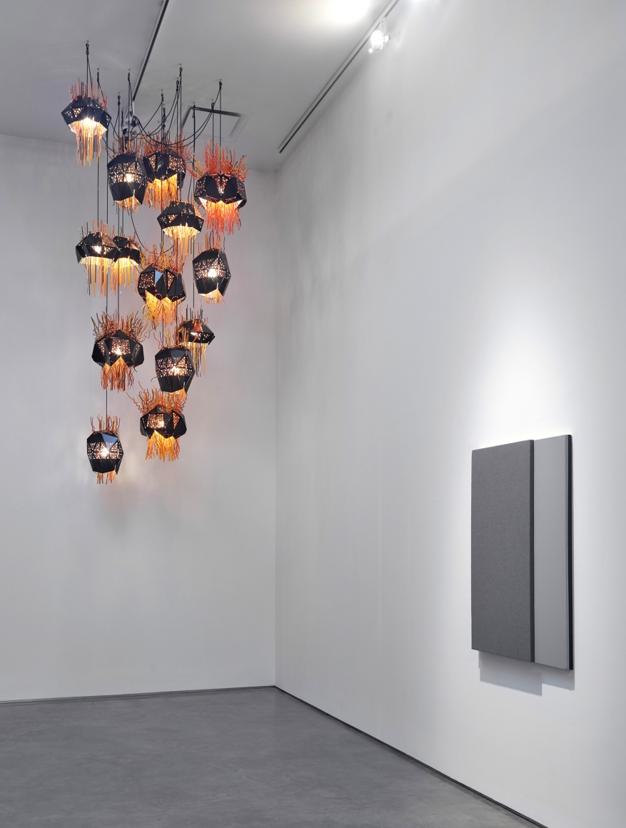Cells (Installation View) Boesky Gallery, 2017