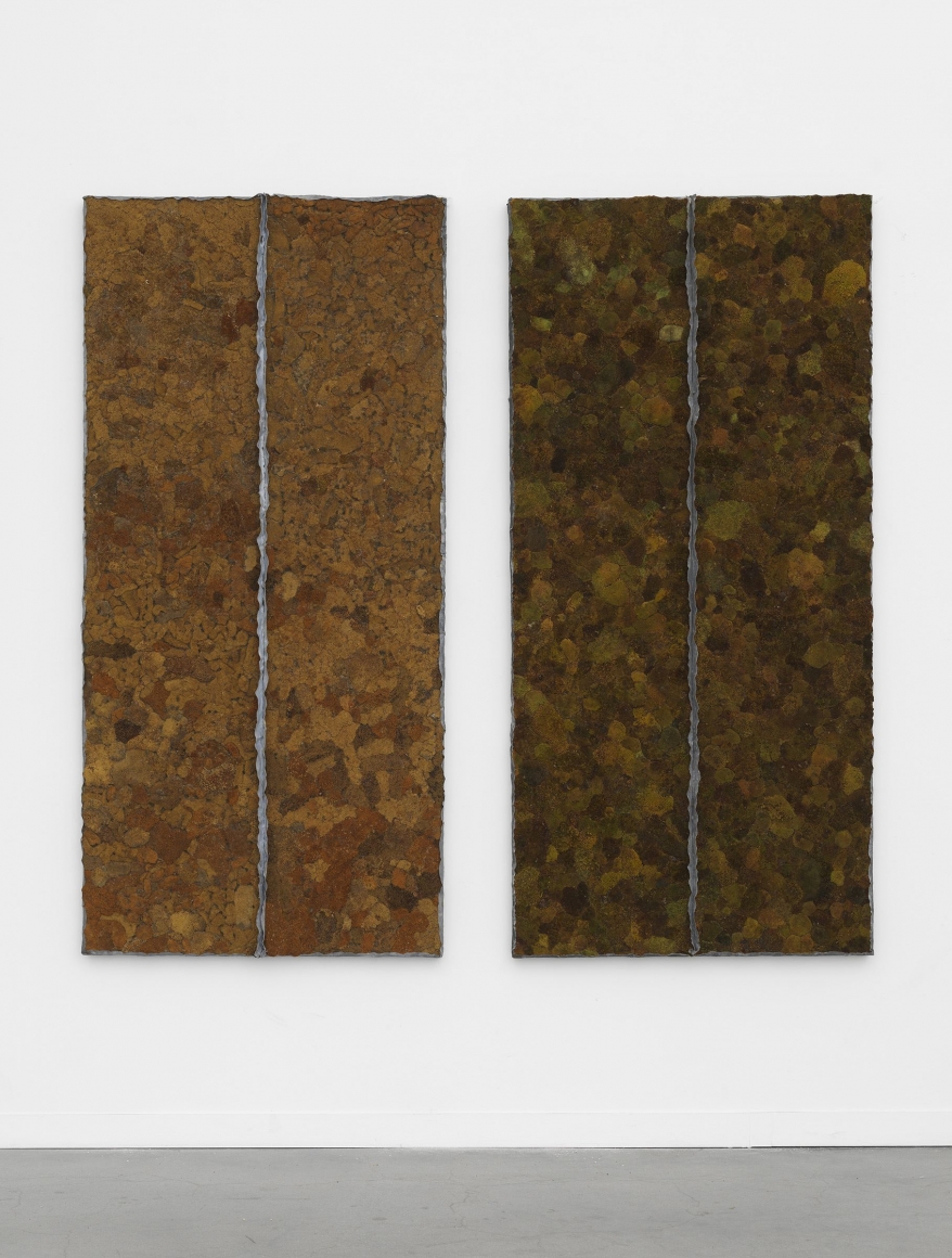 diptych made of dry moss by pier paolo calzolari