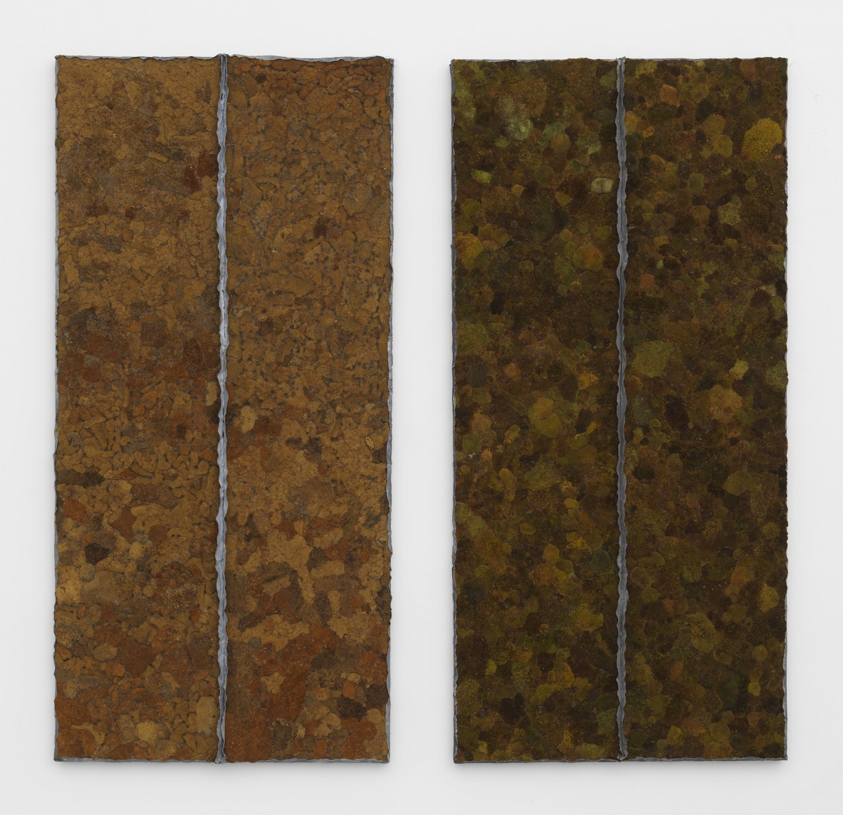 Pier Paolo Calzolari, Moss (diptych), 1979 – 1991