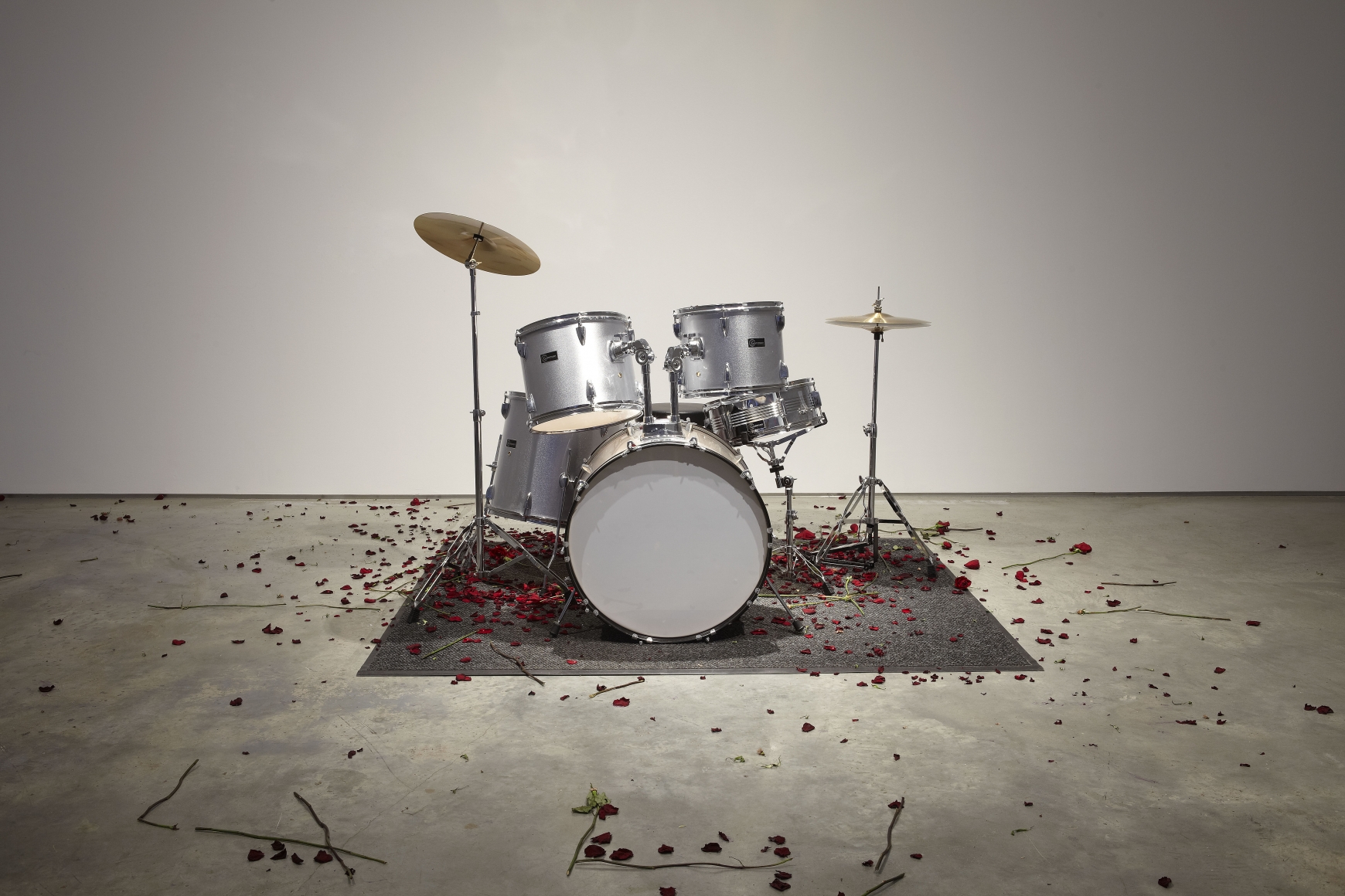 Ted Riederer, Drums and Roses, 2010