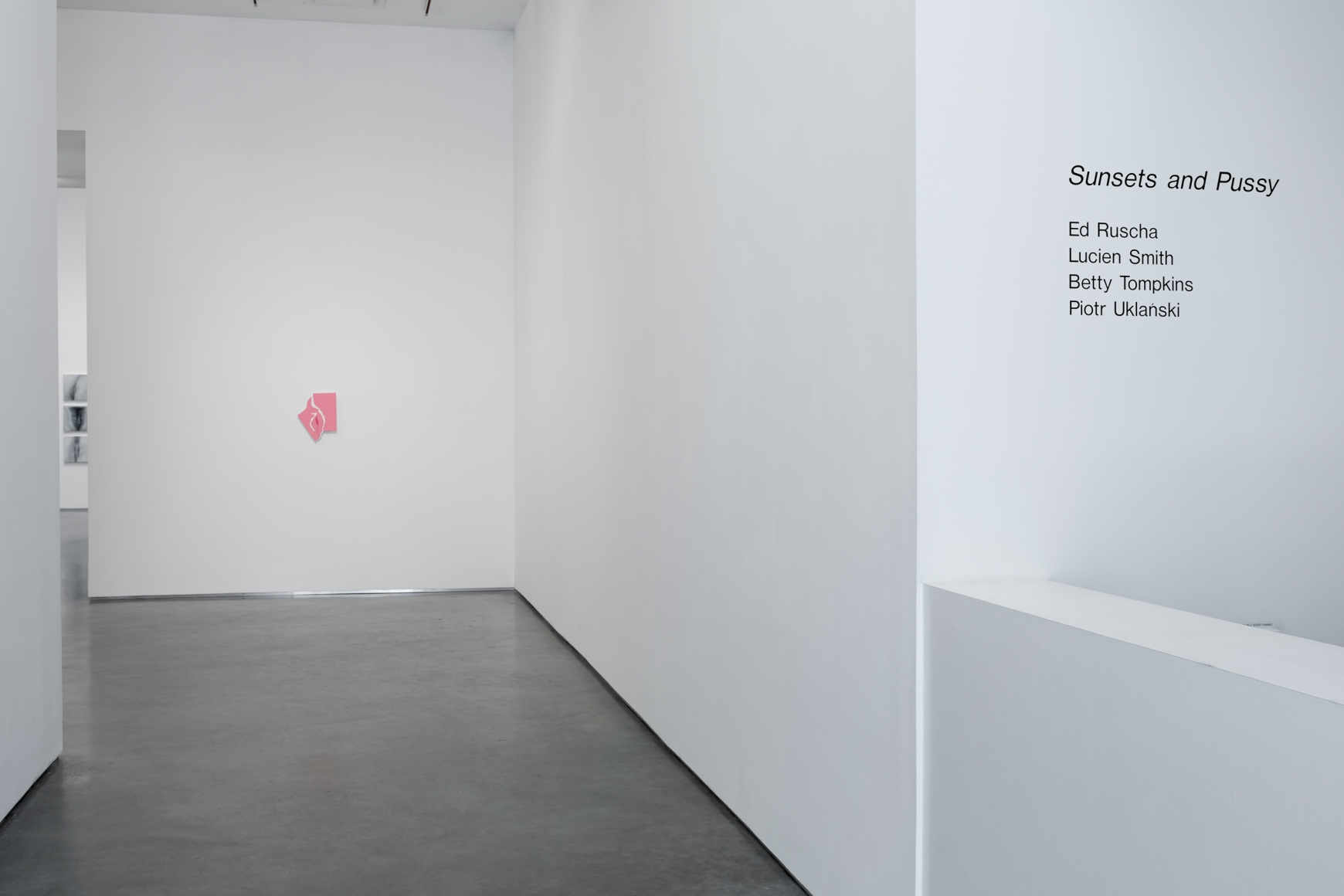 Sunsets and Pussy (Installation View), Marianne Boesky Gallery, 2013