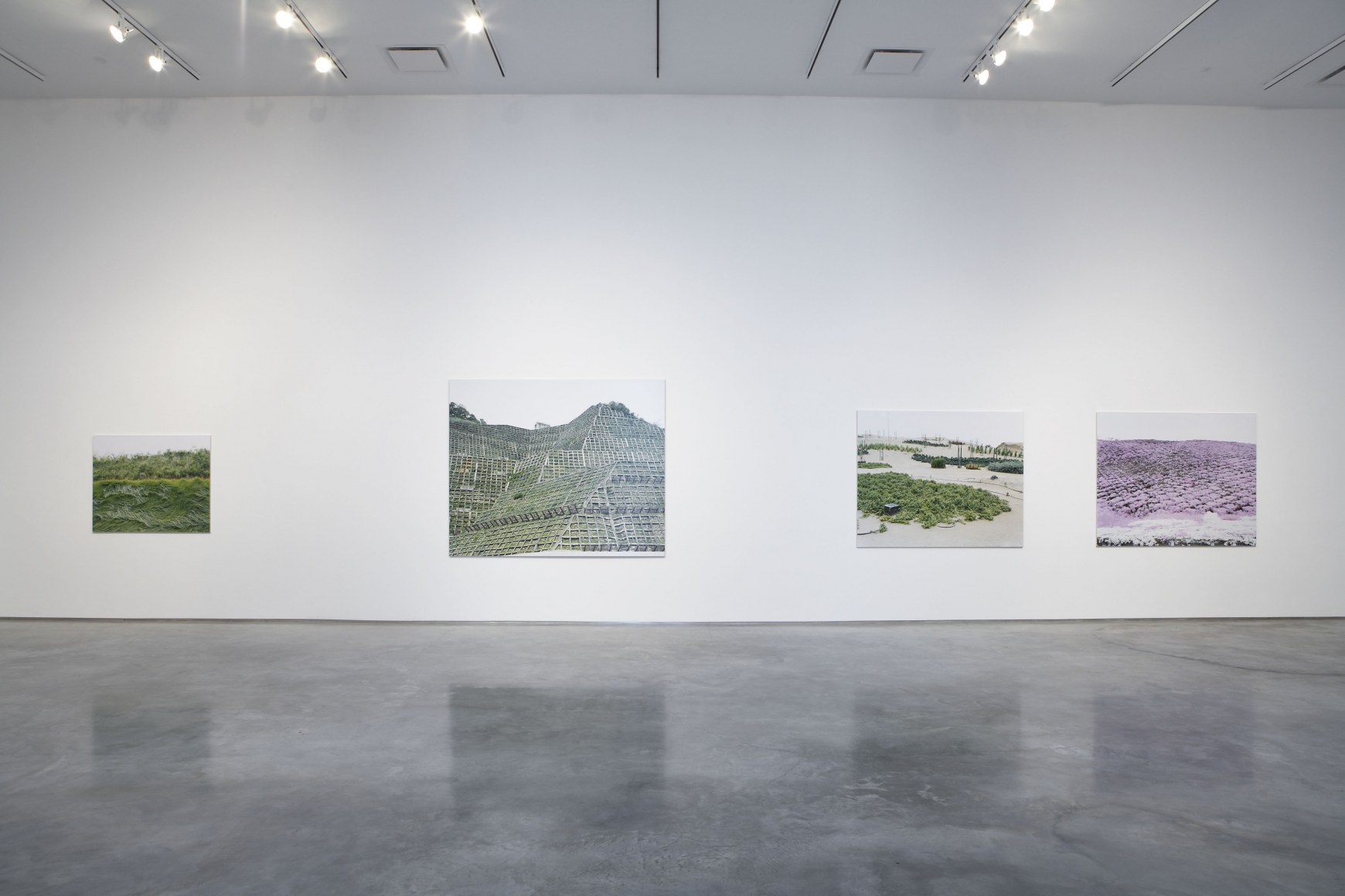 Installation View, Marianne Boesky Gallery, 2007