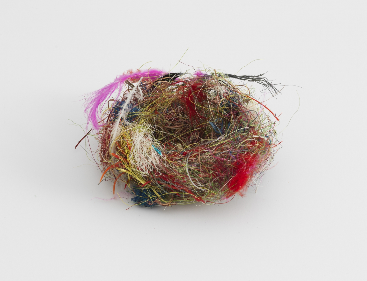 Björn Braun Untitled (nest), 2016