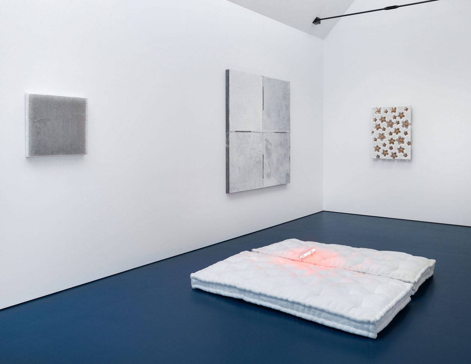 TONIC OF WILDNESS (Installation View), Boesky West, 2017 – 2018
