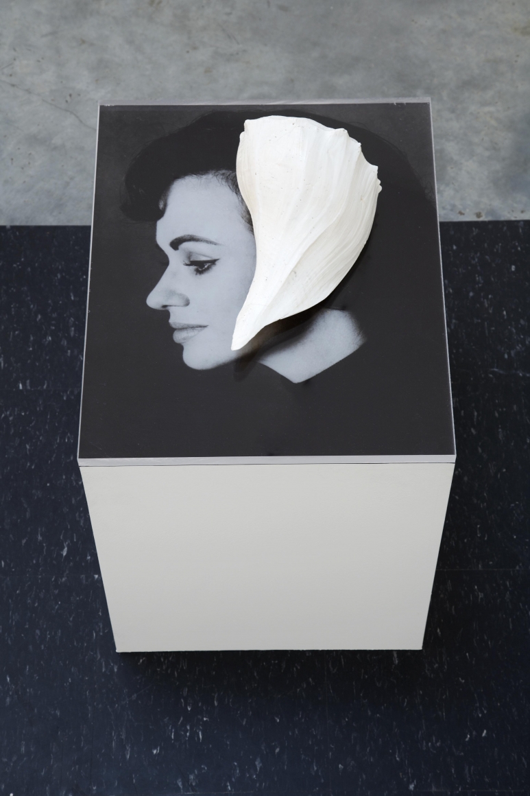 photograph of a woman's profile on a pedestal