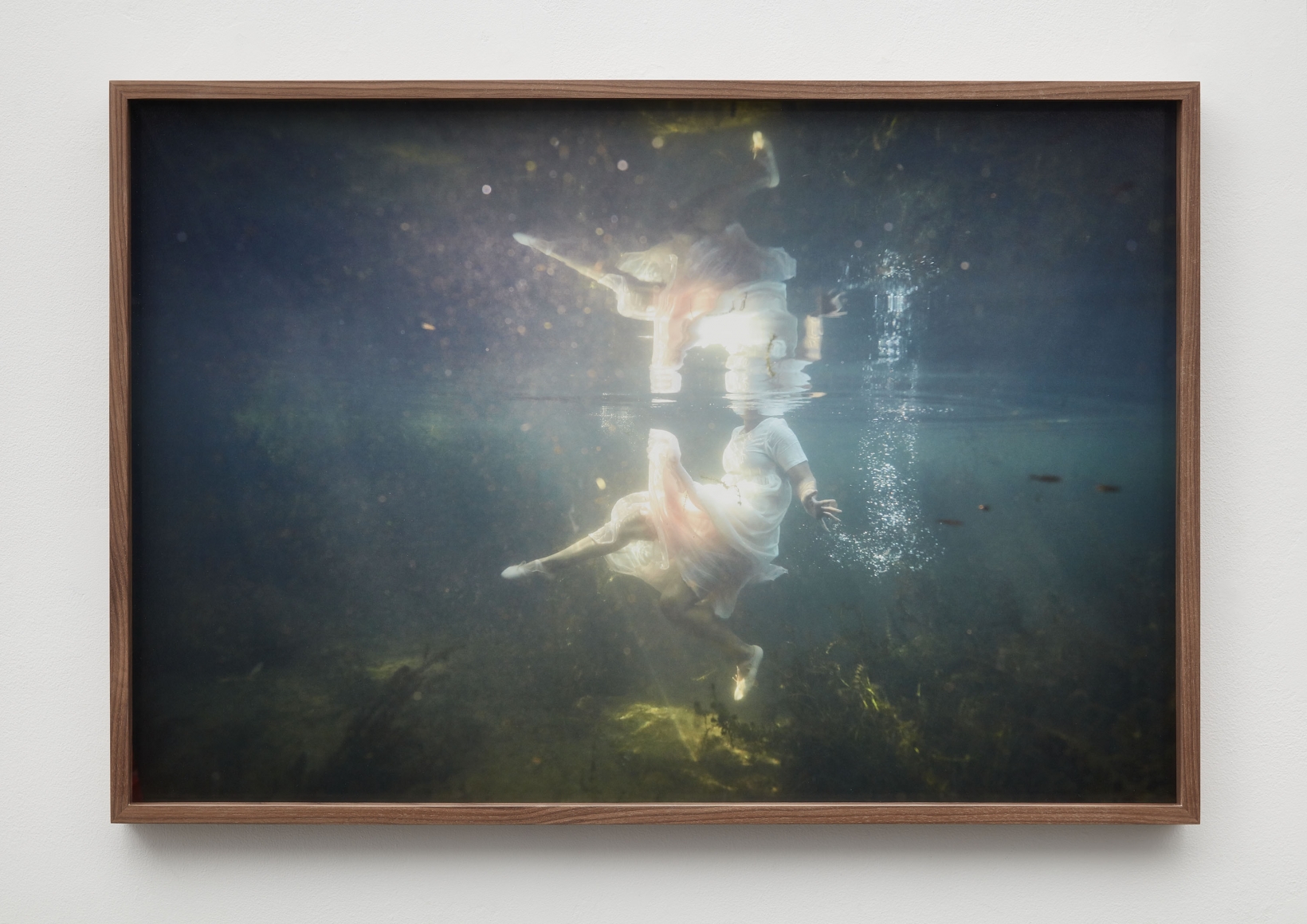 Floridawater II, 2019, Archival Pigment Print