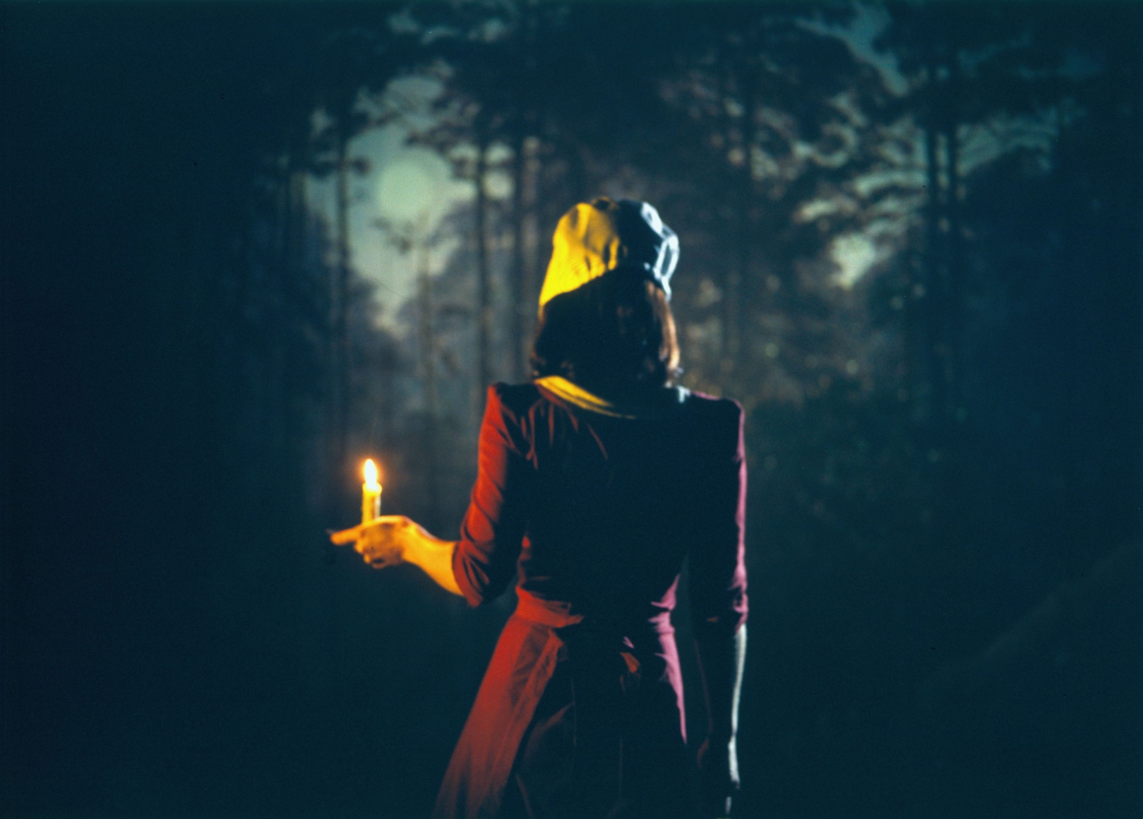 a c-print photograph of a girl in the woods by sue de beer exhibited in a contemporary art gallery