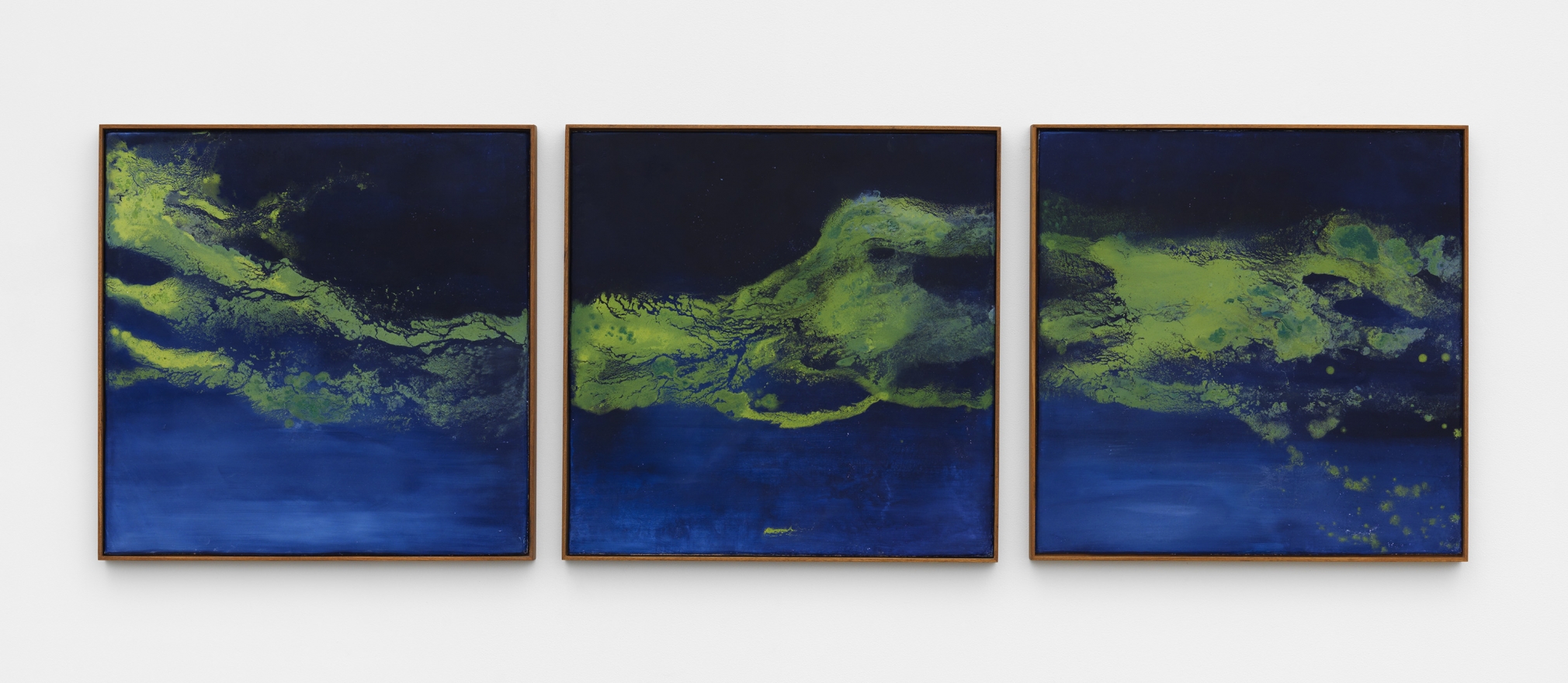 an abstract fresco triptych by thiago rocha pitta for sale in new york city
