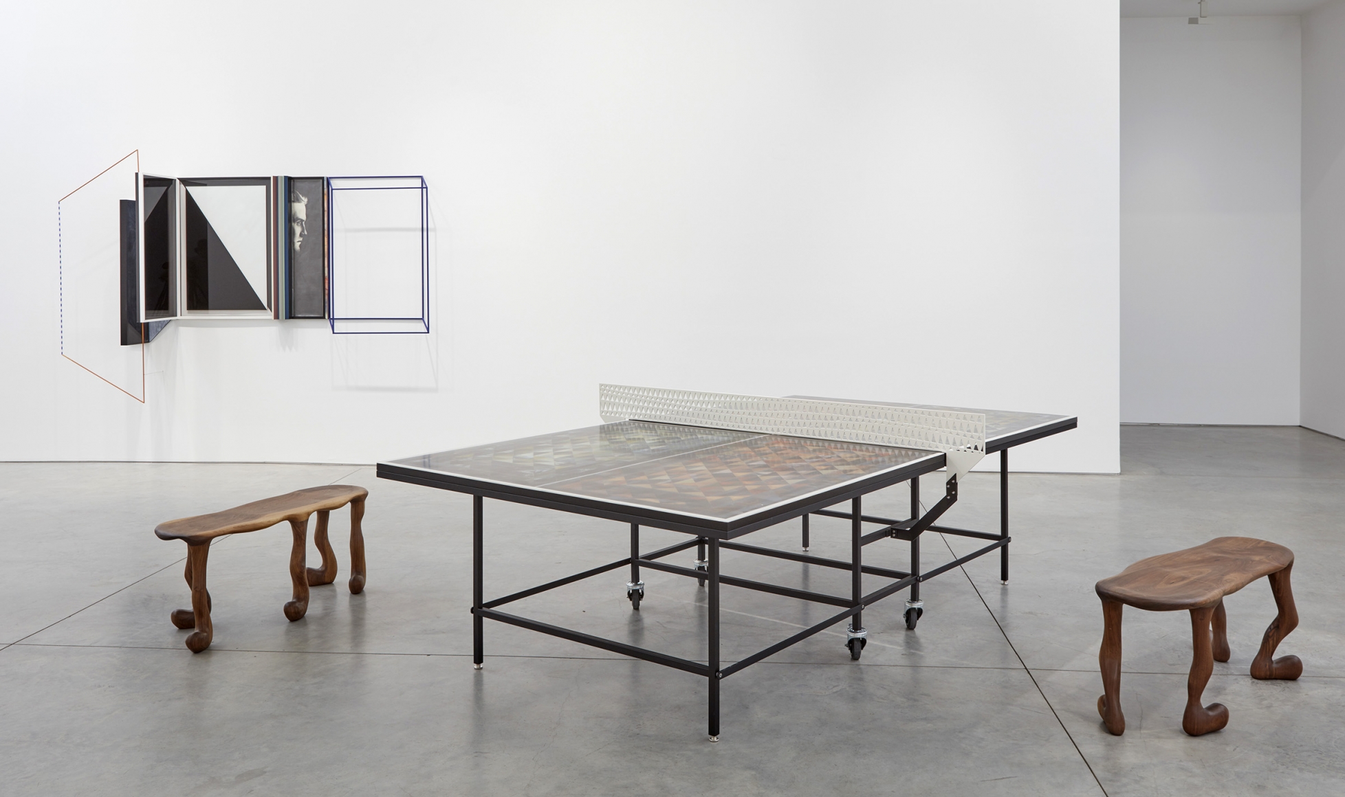 Cells (Installation View) Boesky East, 2017