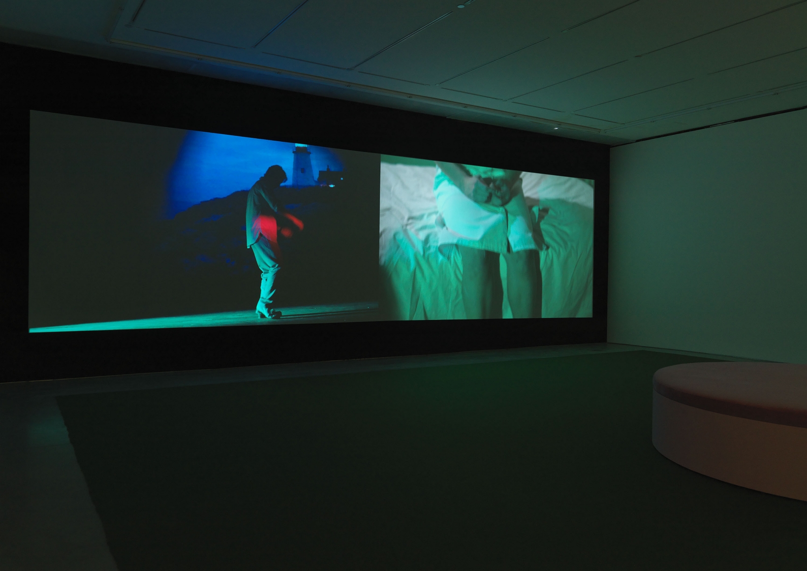 The White Wolf (Installation View)