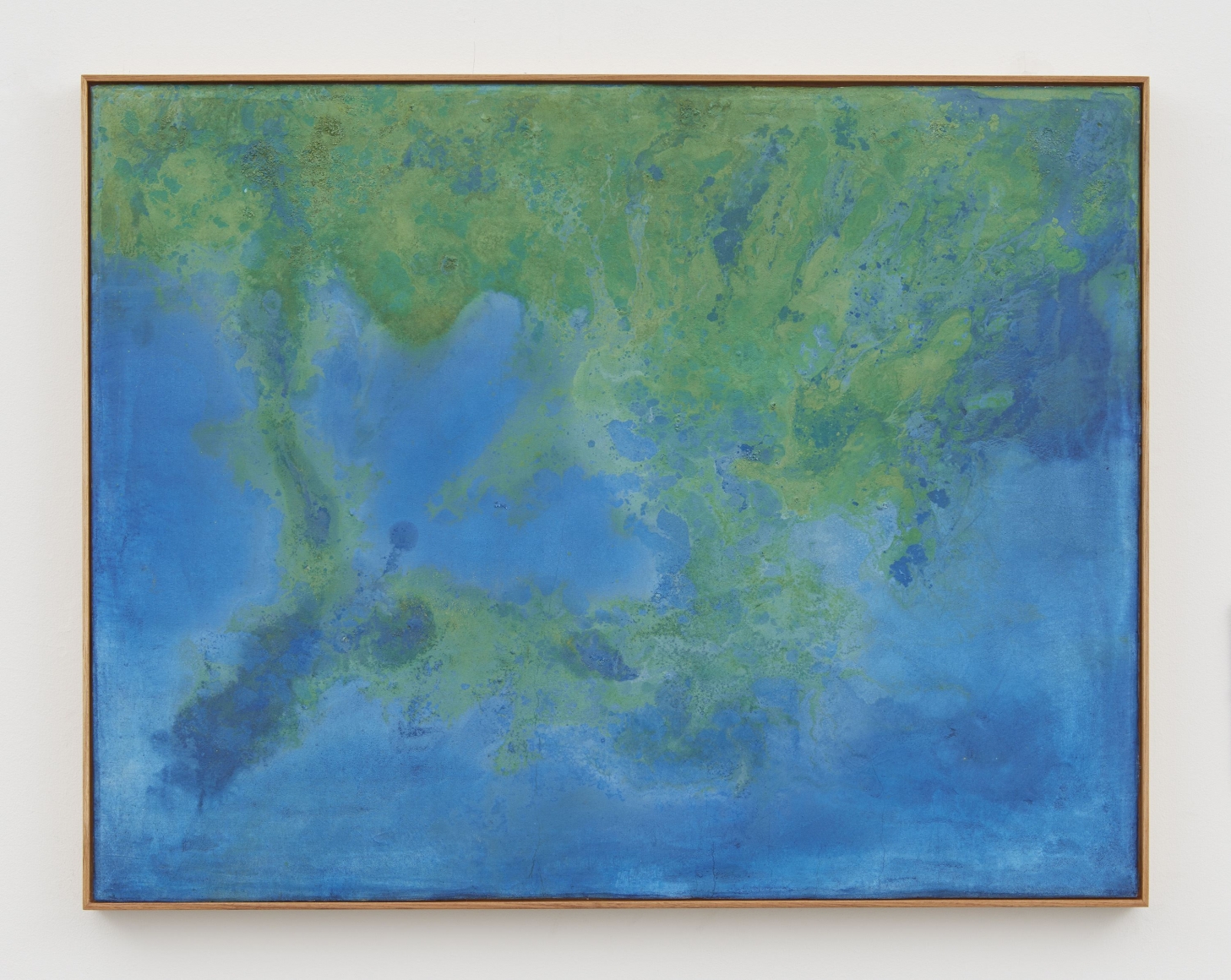 seascape with cianobacteria, 2017