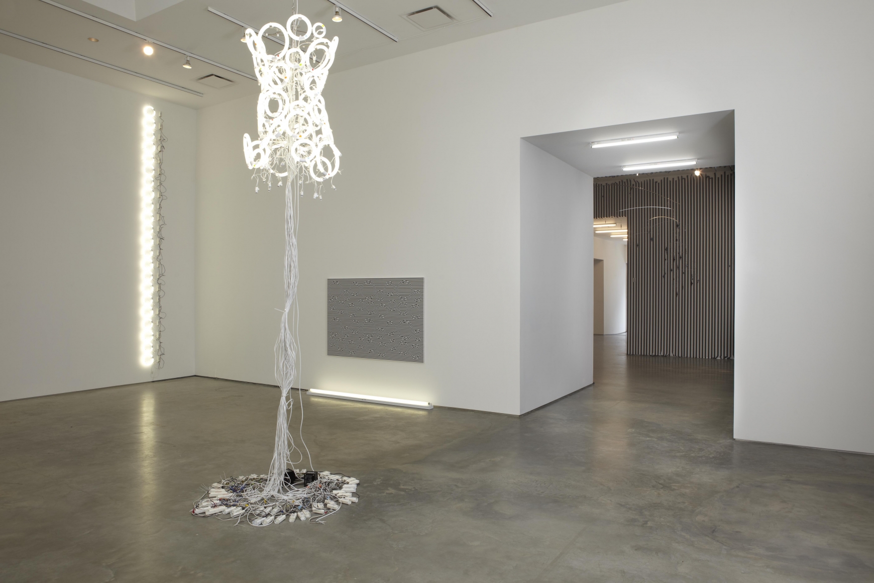 Flourescent (Installation view), Marianne Boesky Gallery, 2011