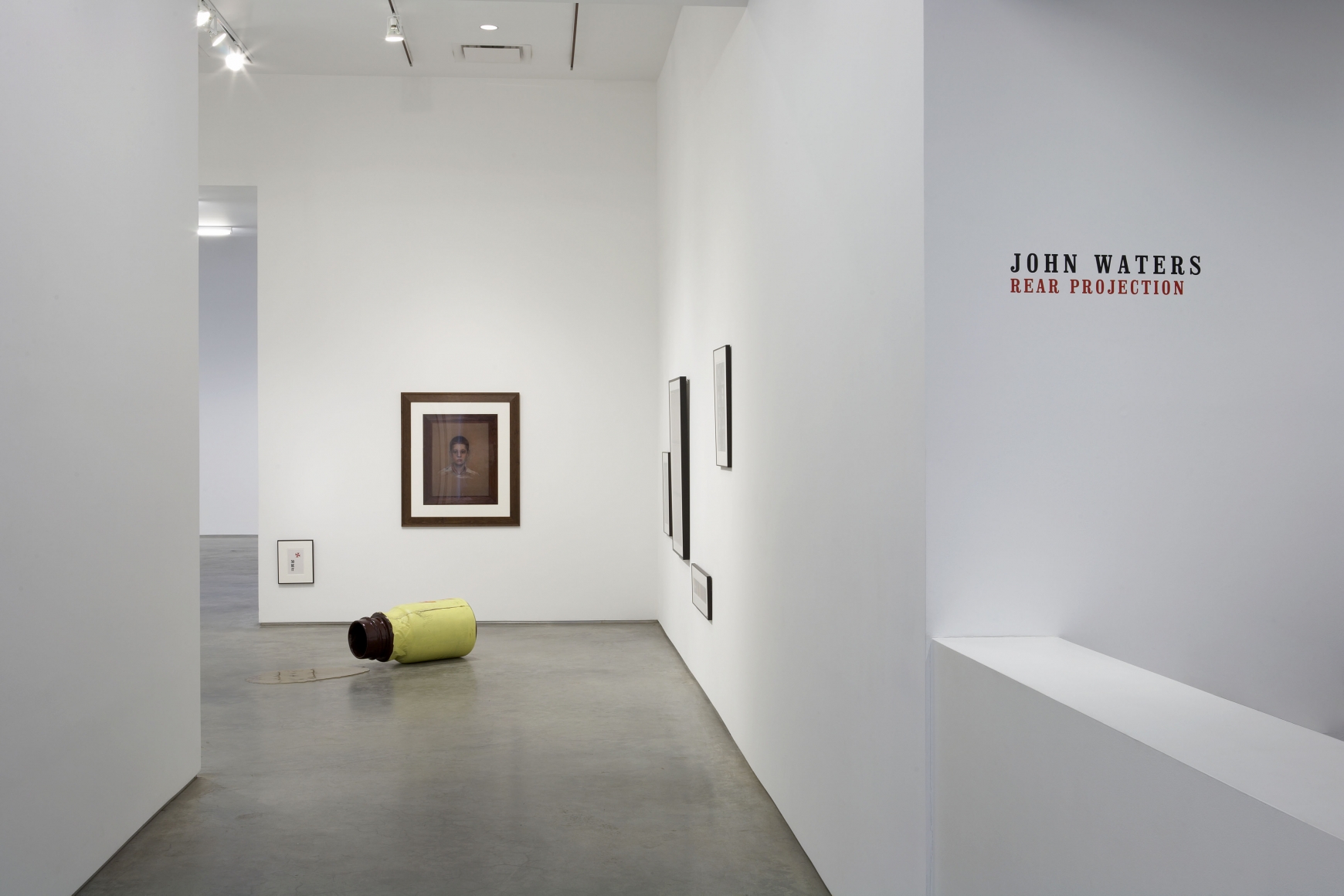 John Waters: Rear Projection (Installation View) , Marianne Boesky Gallery, 2009