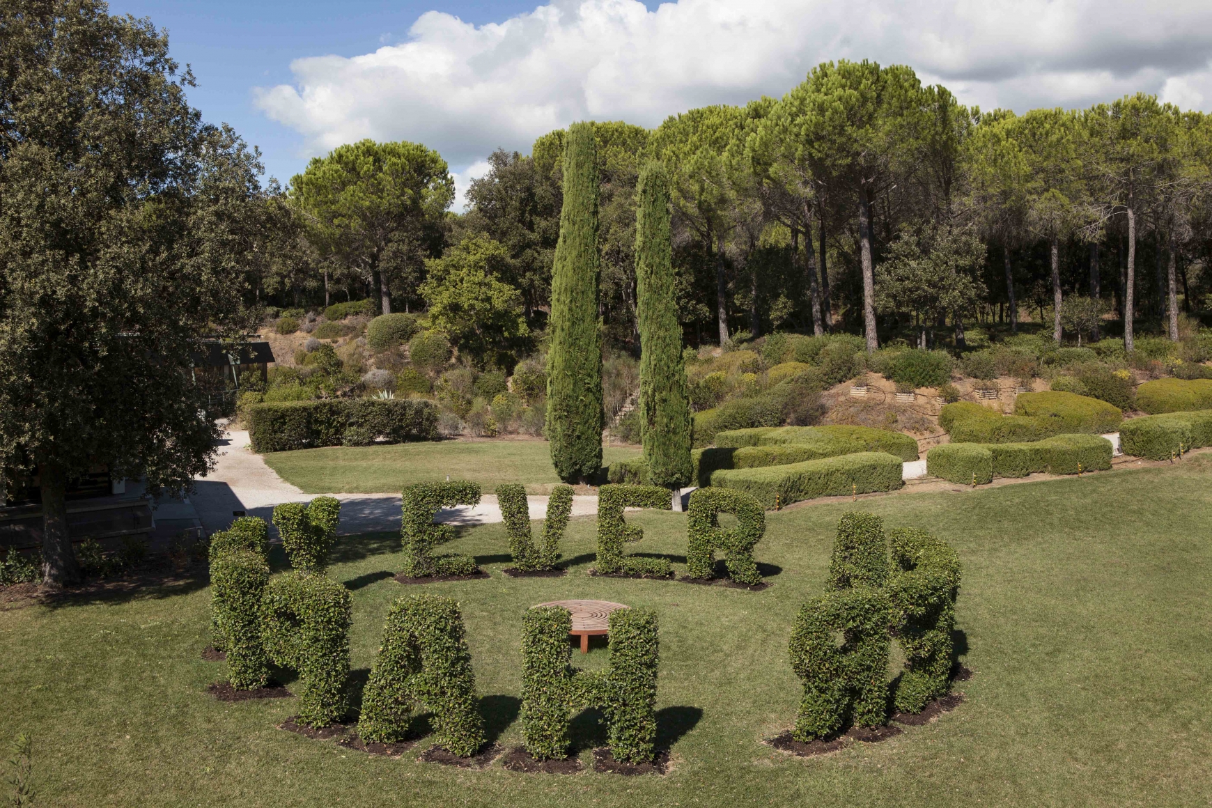 Happily Ever After, 2005, Trimmed plant on stainless steal structure and teak bench