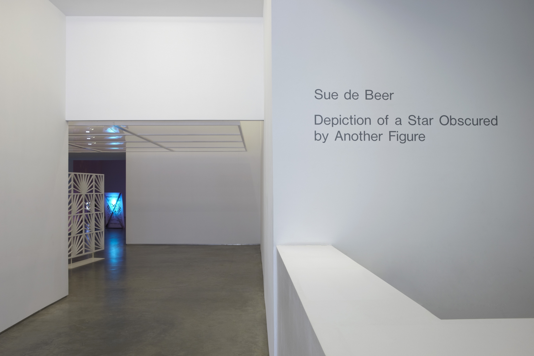 Depiction of a Star Obscured by Another Figure (Installation View), Marianne Boesky Gallery, 2011