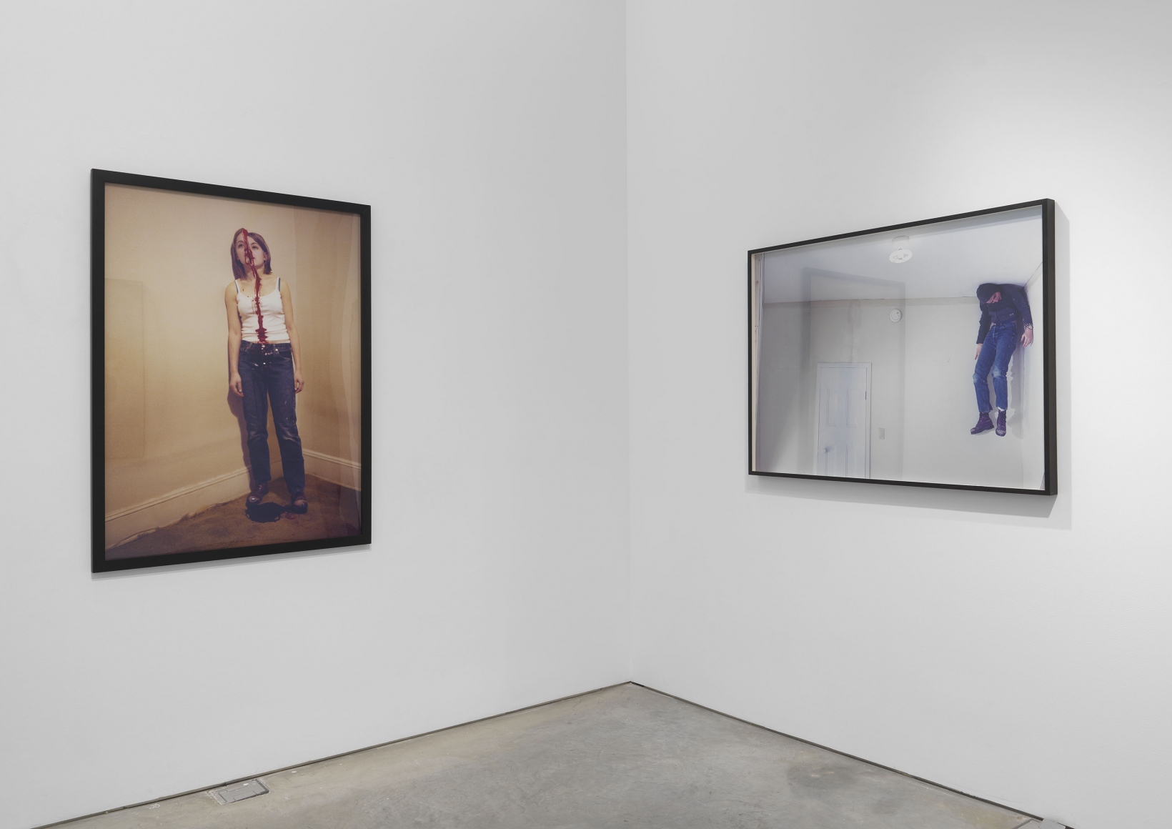The White Wolf (Installation View)