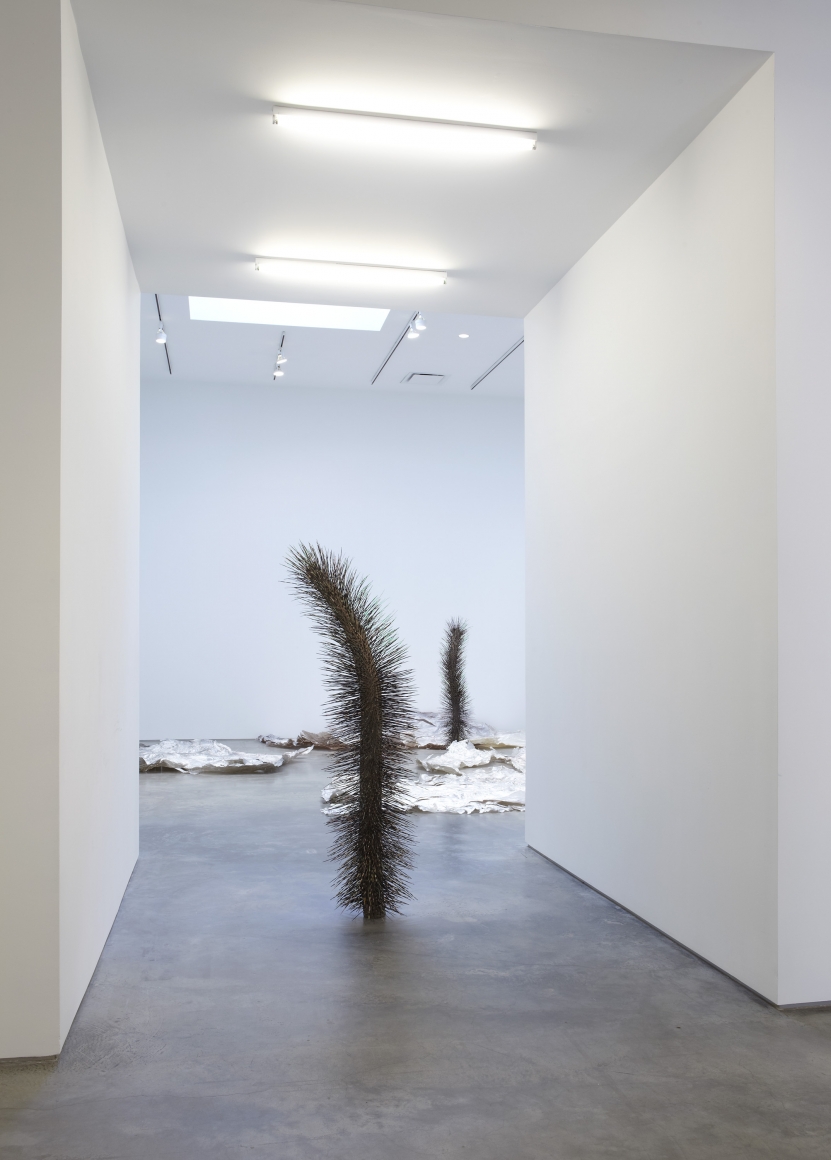 Intimate Life (Installation View), Marianne Boesky Gallery, 2010
