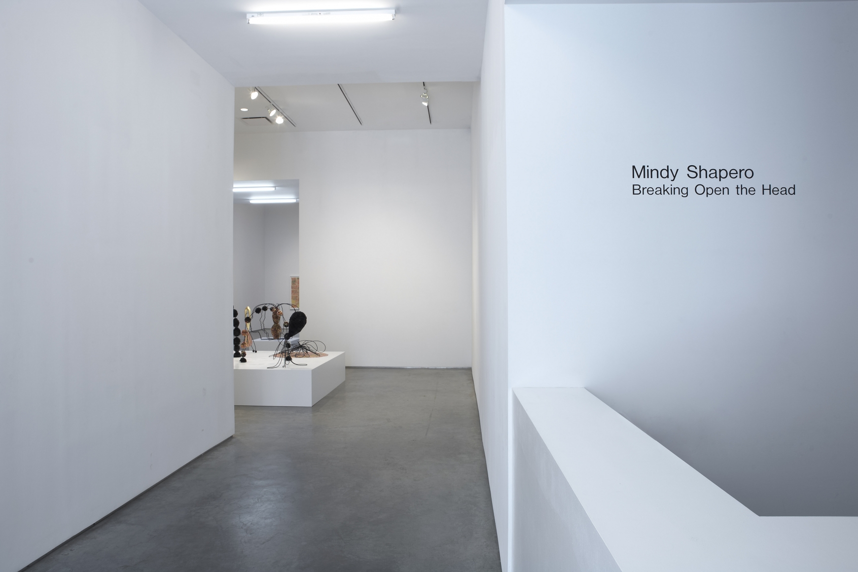 Breaking Open The Head (Installation View), Marianne Boesky Gallery, 2011