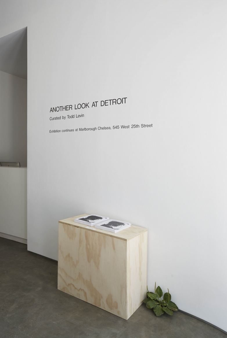 Another Look at Detroit (Installation View), Marianne Boesky Gallery, 2014