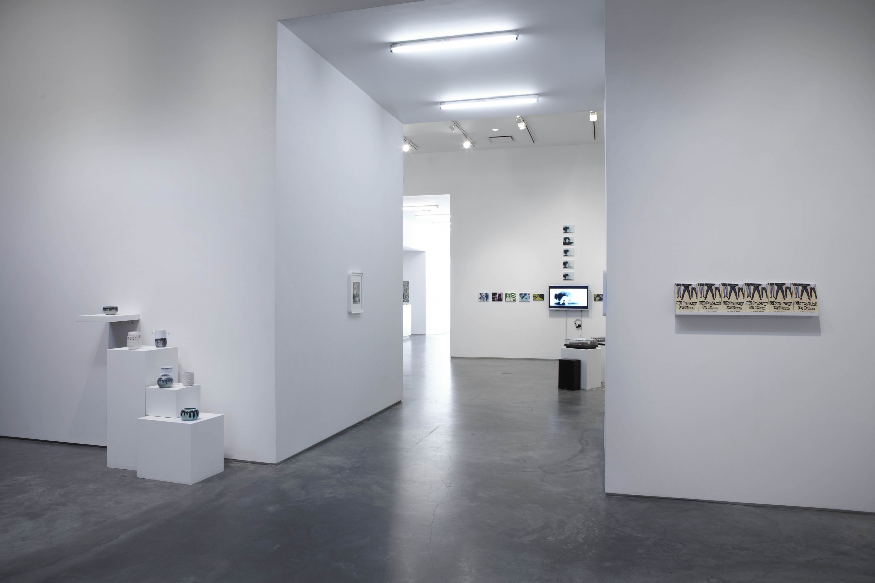 I Bleed Black (Installation View), Marianne Boesky Gallery, 2011