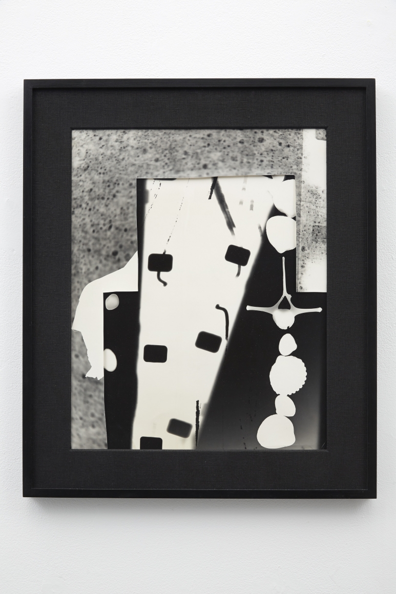Amy Granat, White Shells, 2010