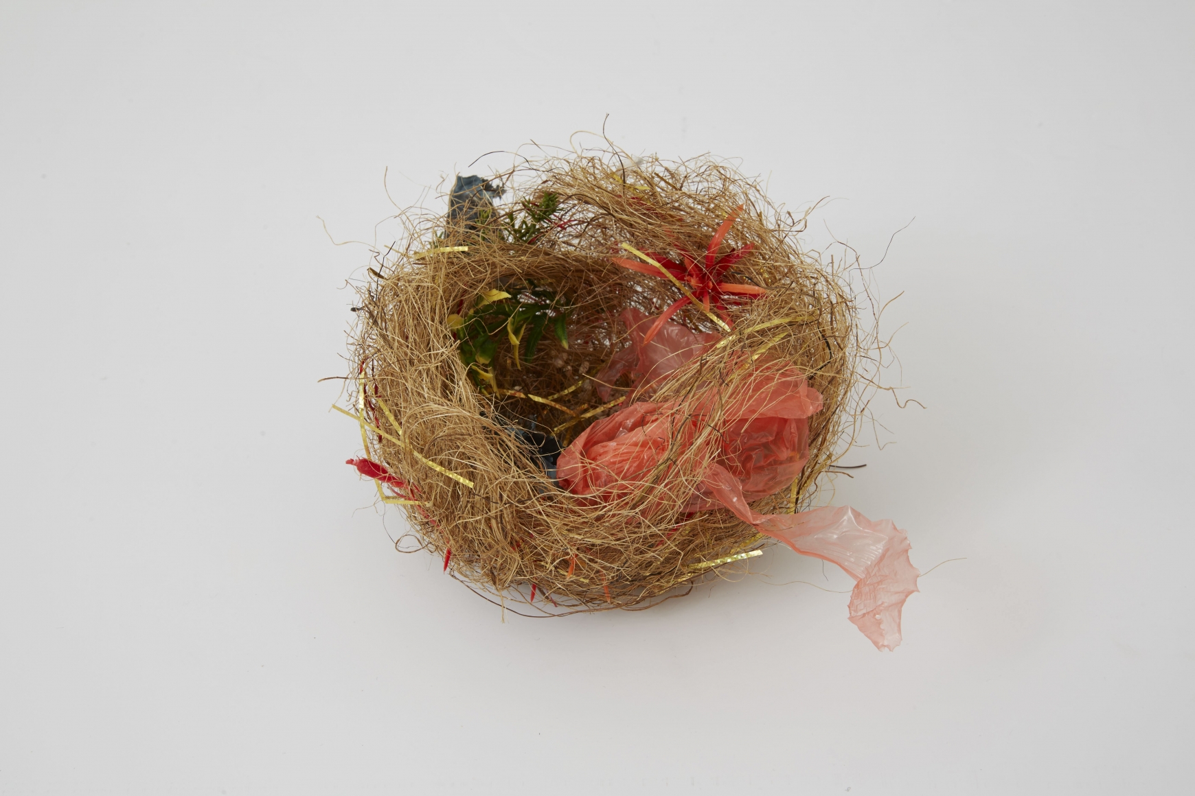 Björn Braun, Untitled (zebra finch nest), 2015