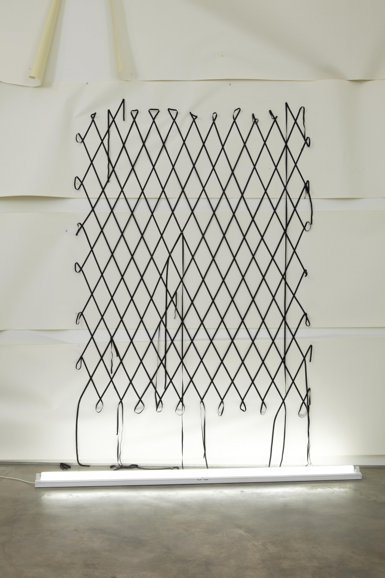 Yuichi Higashionna, Elastic Installation, 2011
