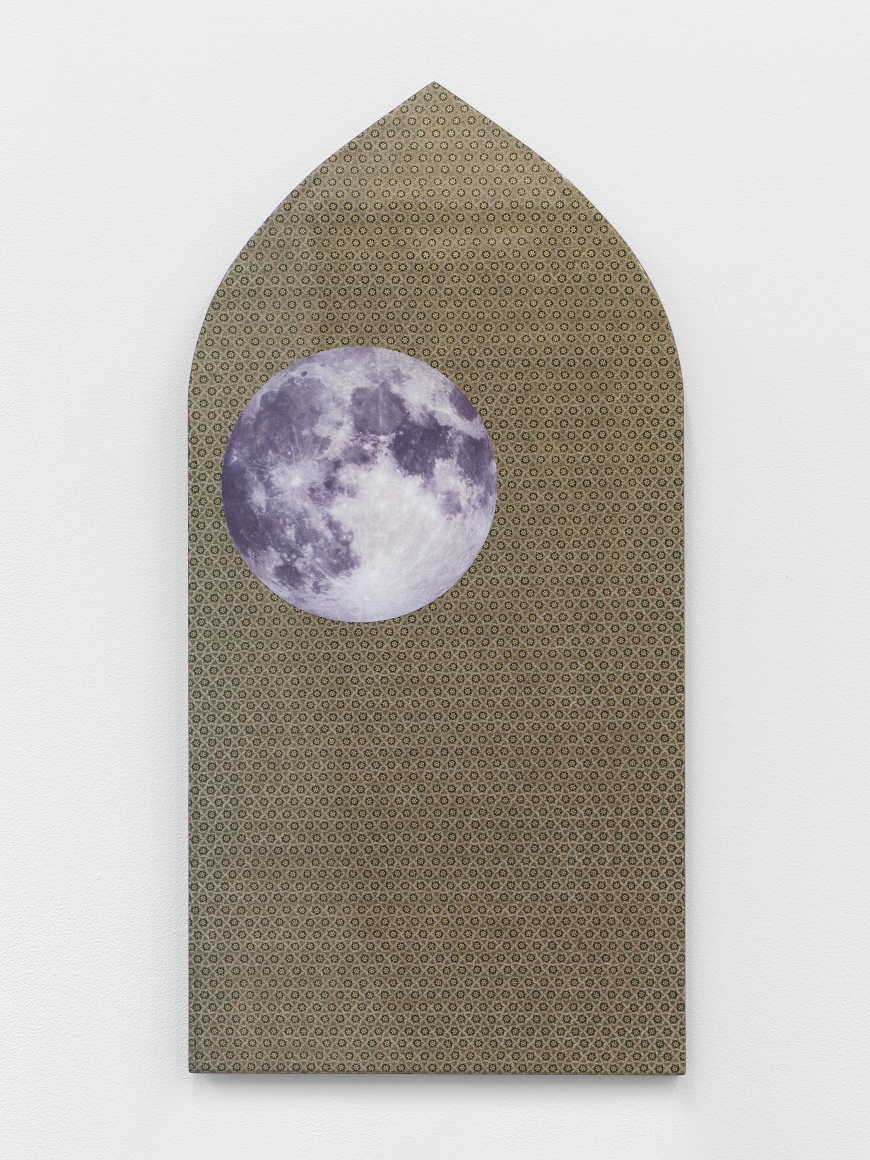 Untitled, 2019, UV inkjet and gesso on marquetry