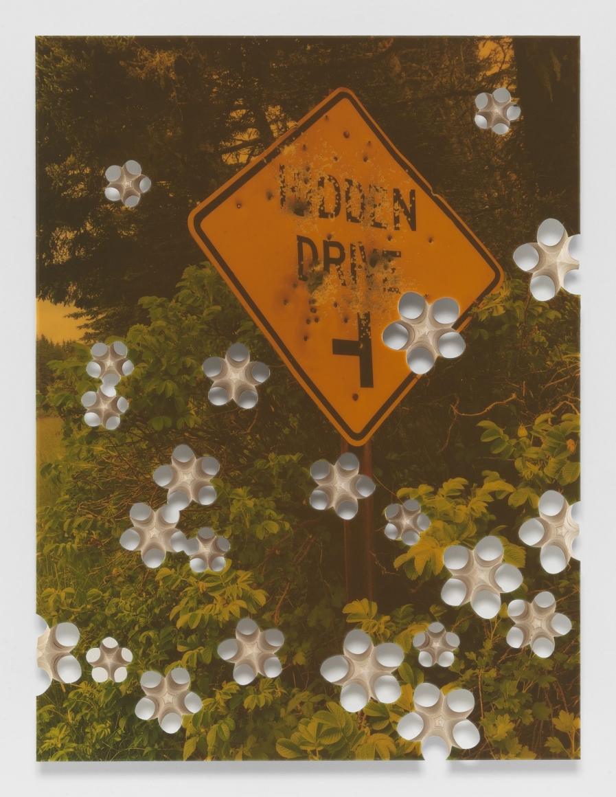 Lot 082616 (hidden drive), 2016, Pigmented epoxy resin, archival inkjet print on wood panel support with steel hardware