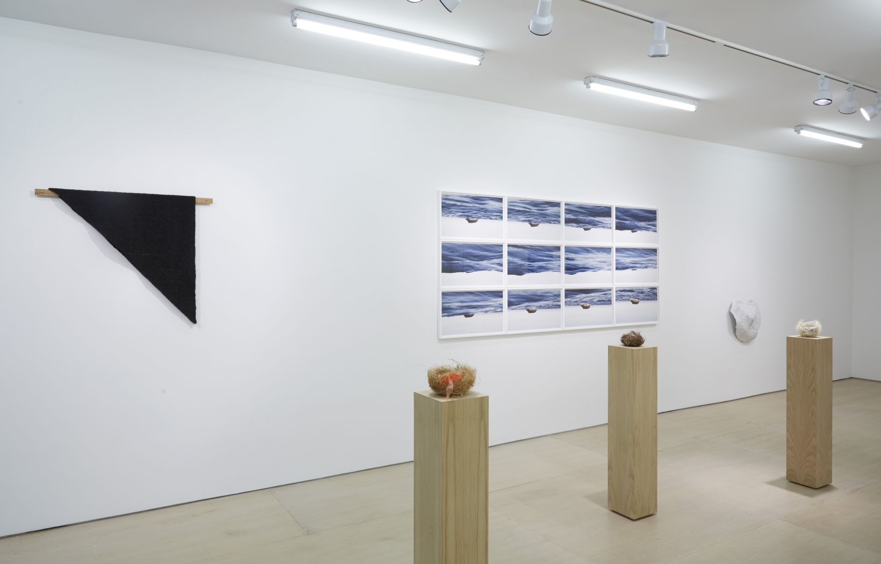 Ordering Nature (Installation View), 20 Clinton Street, 2015