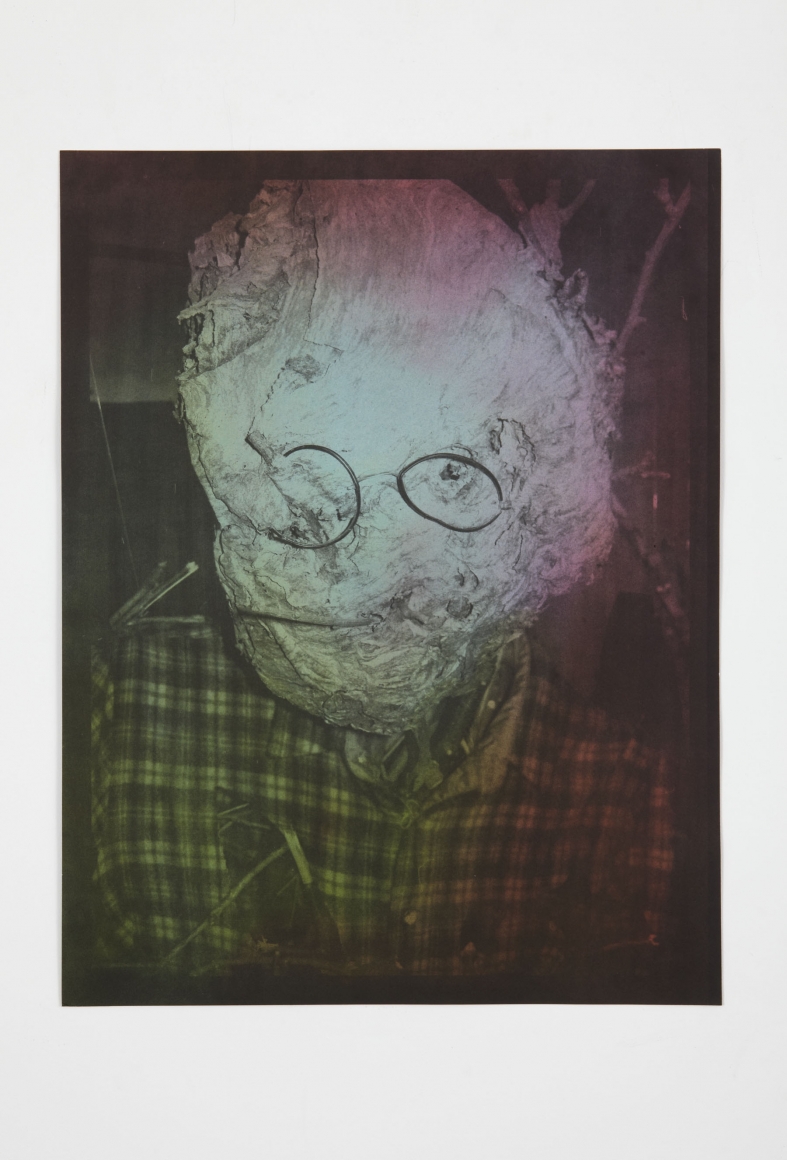 a print of a figure with a nest for a head by jay heikes