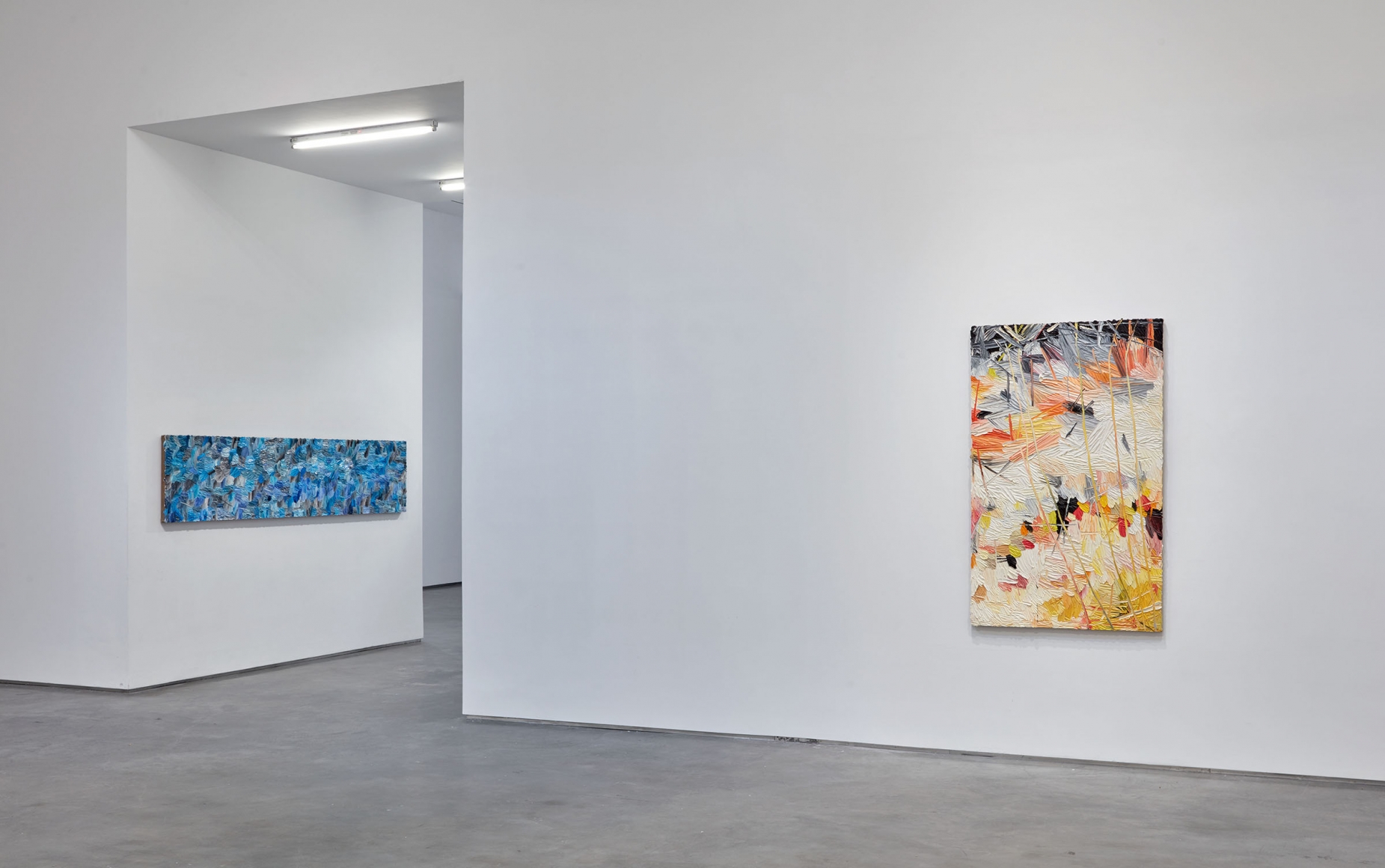 whatever, a vibrant holiday (Installation View), Boesky Gallery, 2016