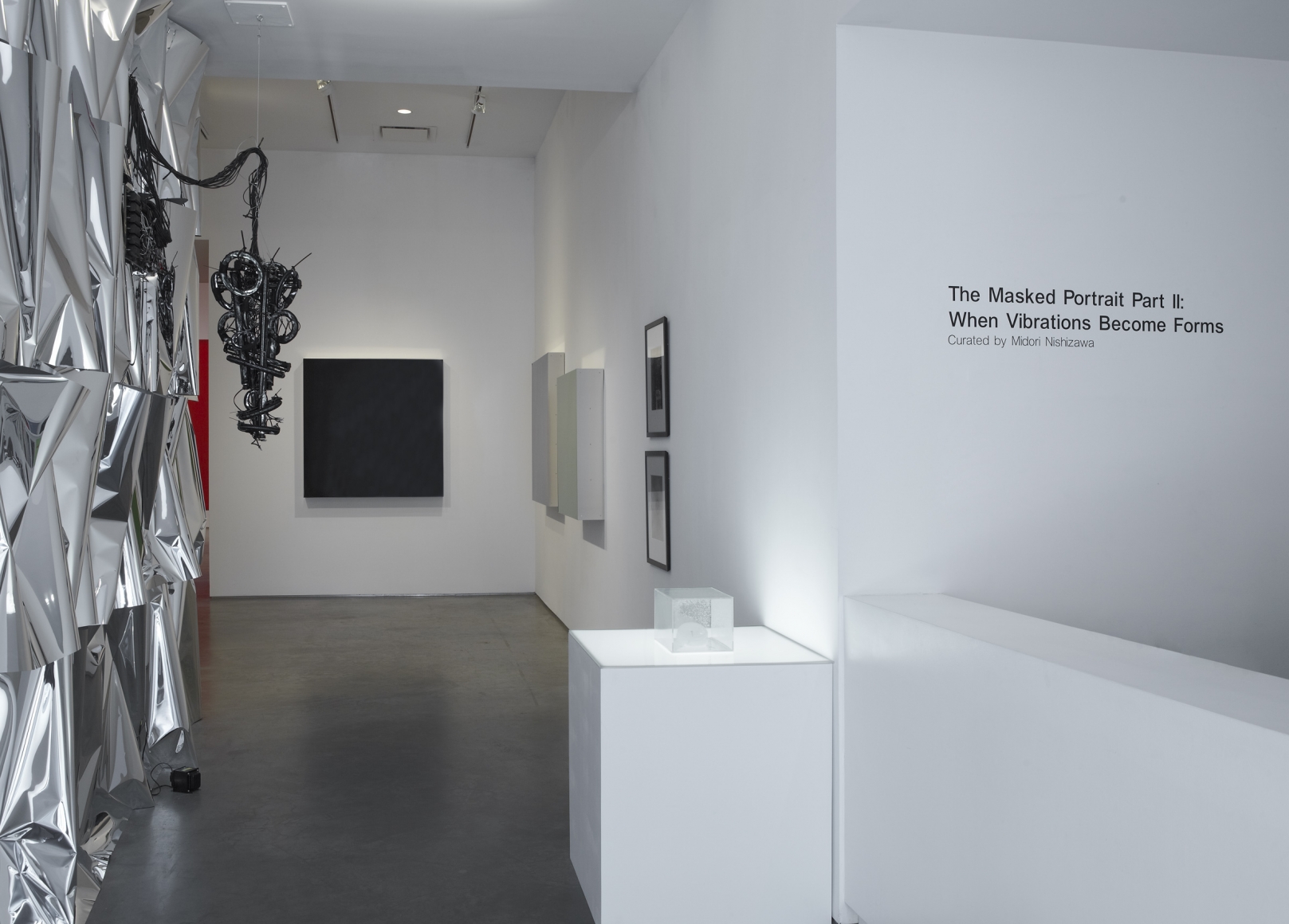 A Masked Portrait Part II: When Vibrations Become Forms (Installation View), Marianne Boesky Gallery, 2011