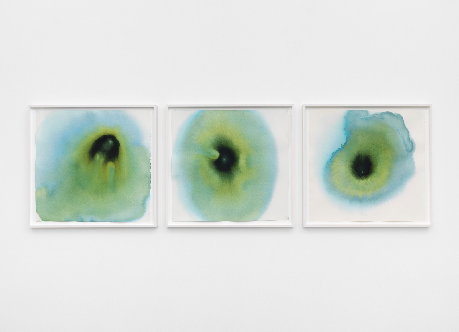 three watercolor portraits of bacteria by environmentally interested artist thiago rocha pitta
