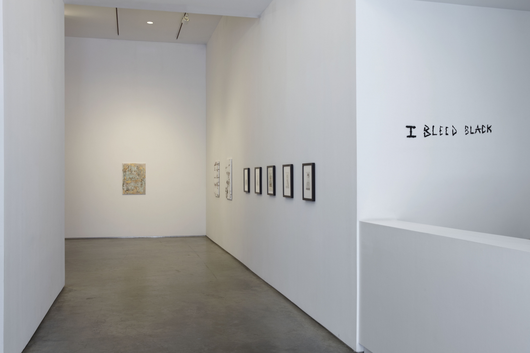 I Bleed Black (Installation View), Marianne Boesky Gallery, 2011