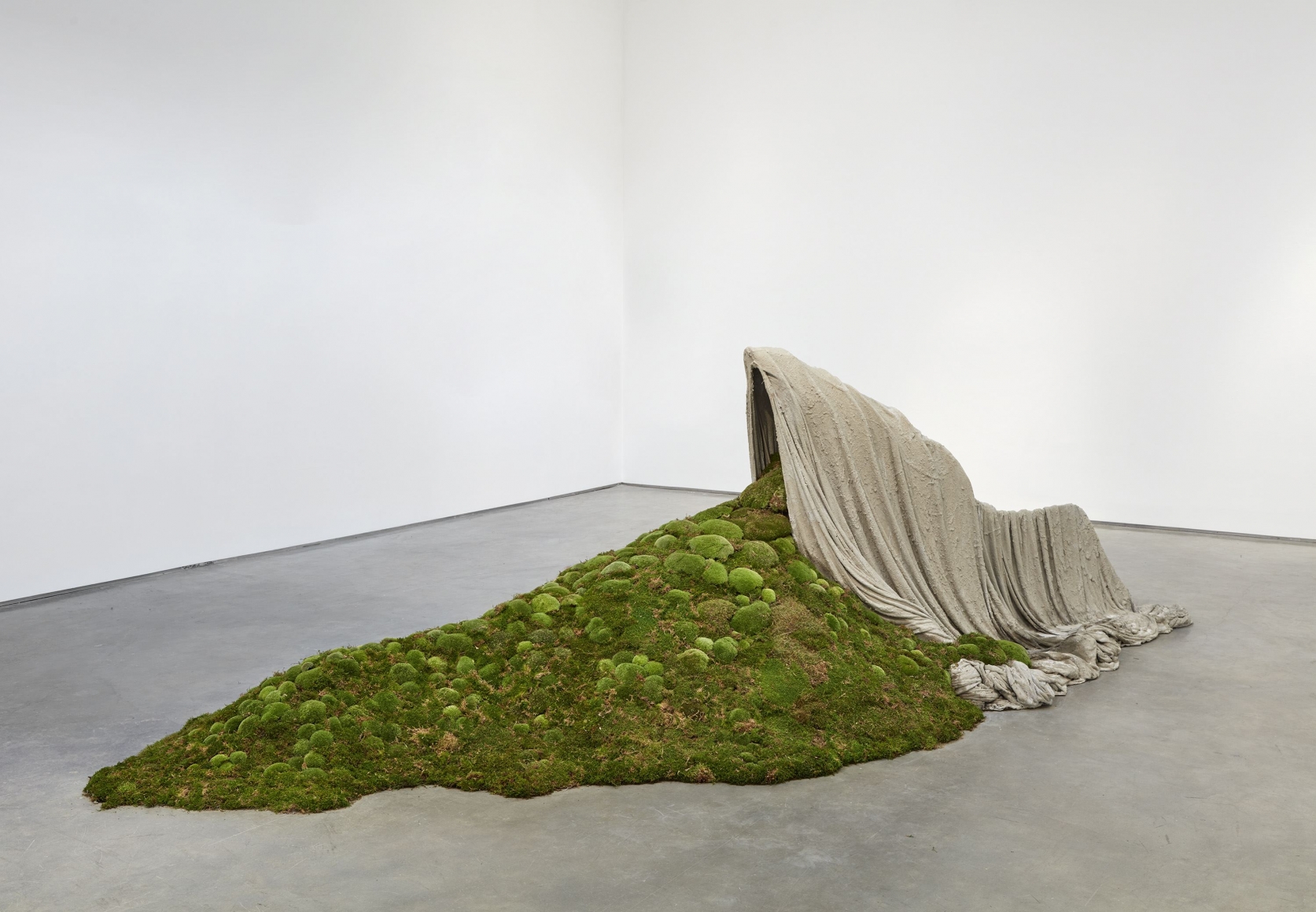 The Green Shelter, 2017