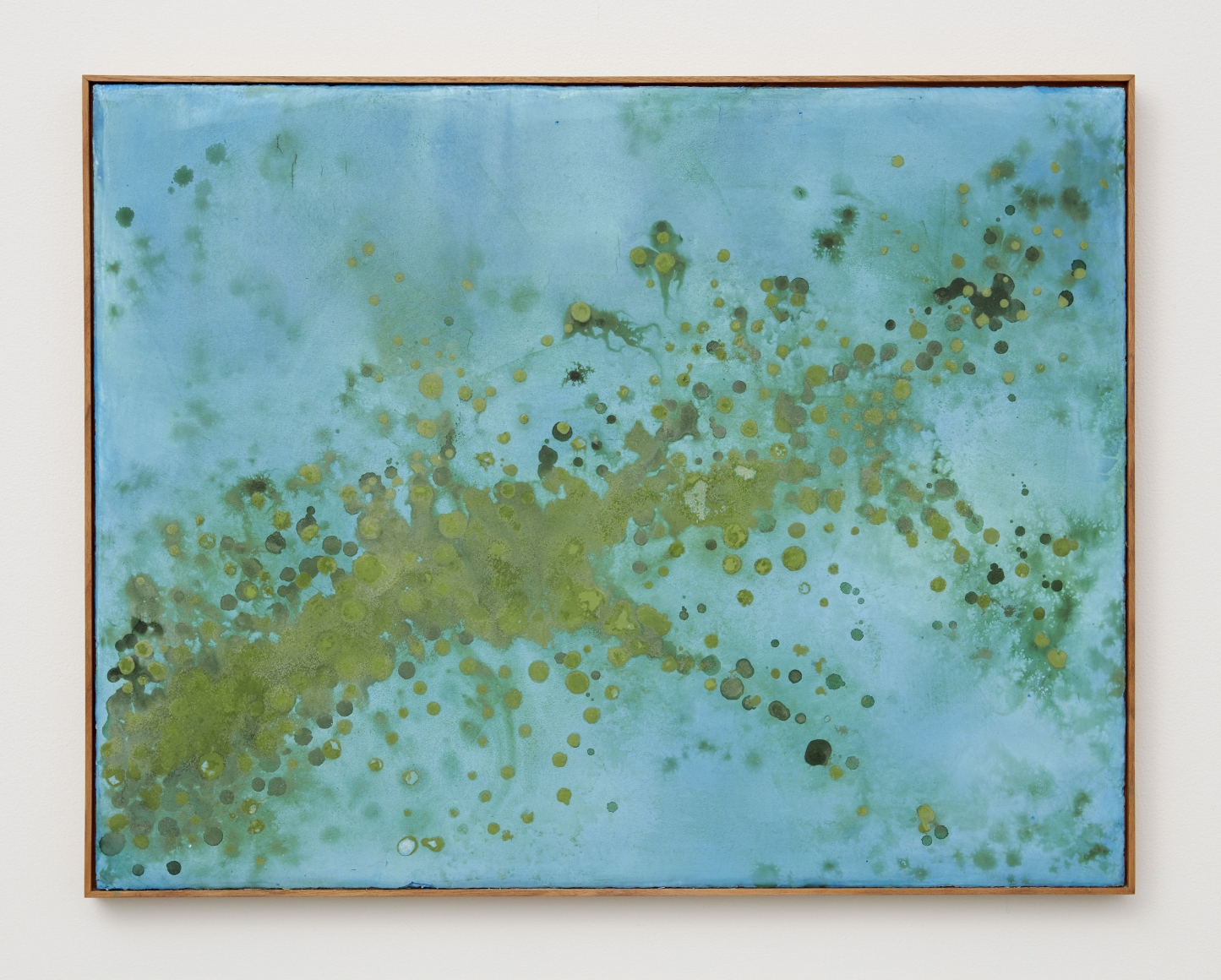 seascape with cianobacteria, 2017