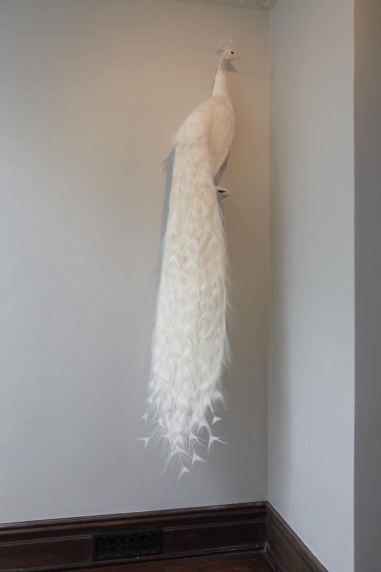 Night Scented Stock (Installation View), Marianne Boesky Gallery, Uptown, 2011