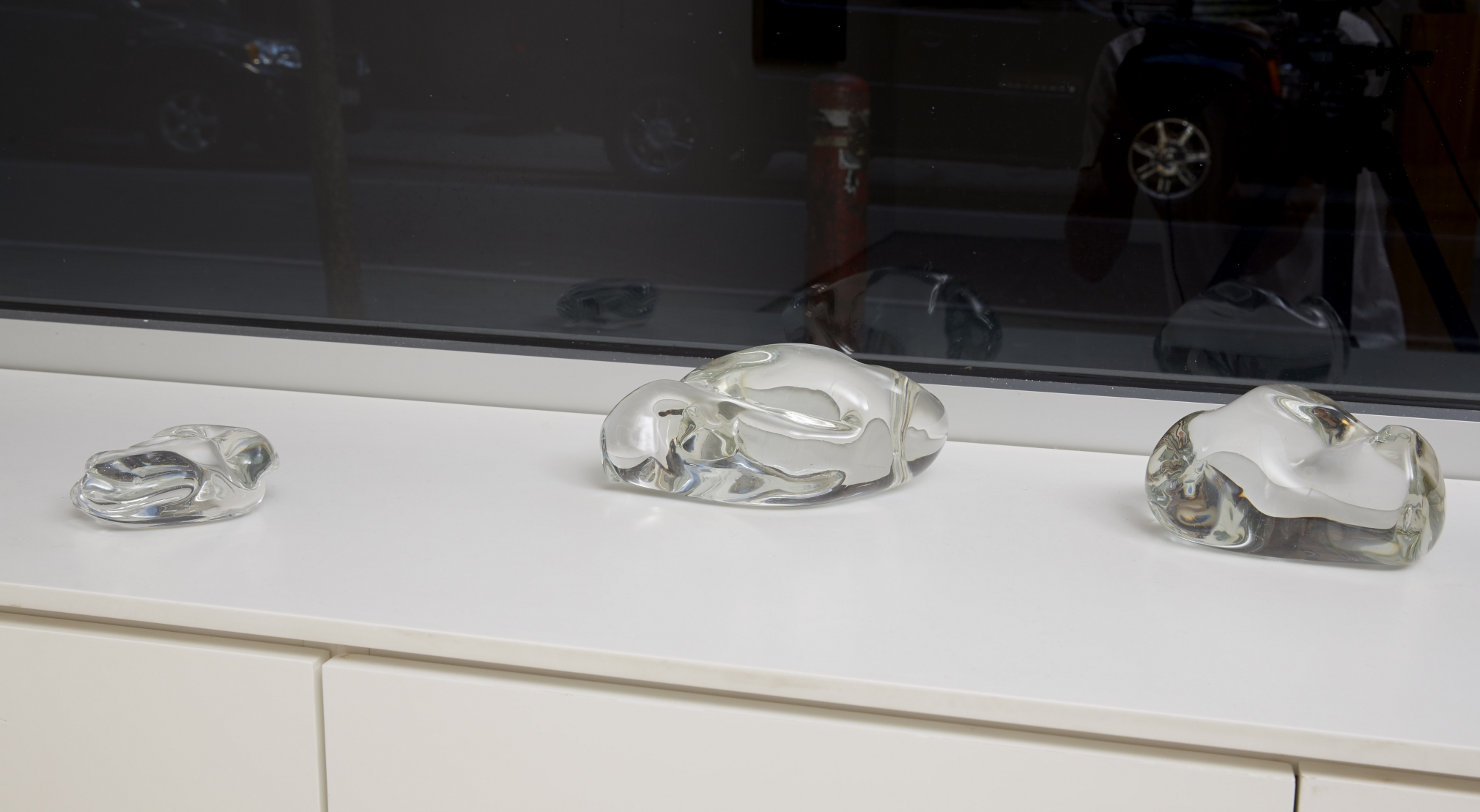 Ordering Nature (Installation View), 20 Clinton Street, 2015