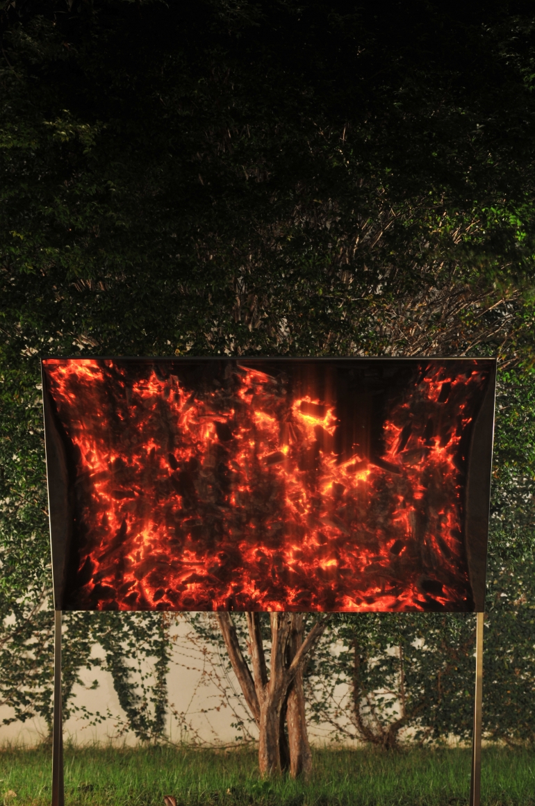 a photograph of a tree and fire by thiago rocha pitta