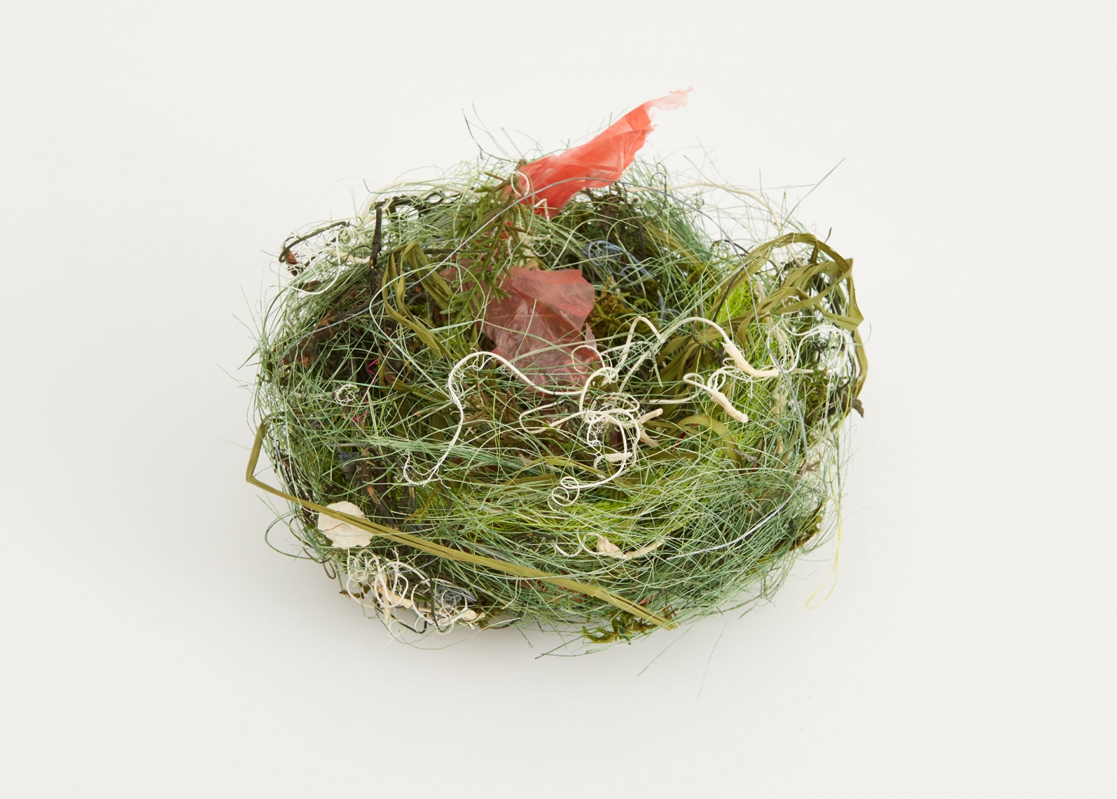 a bird's nest sculpture by German artist Bjorn Braun