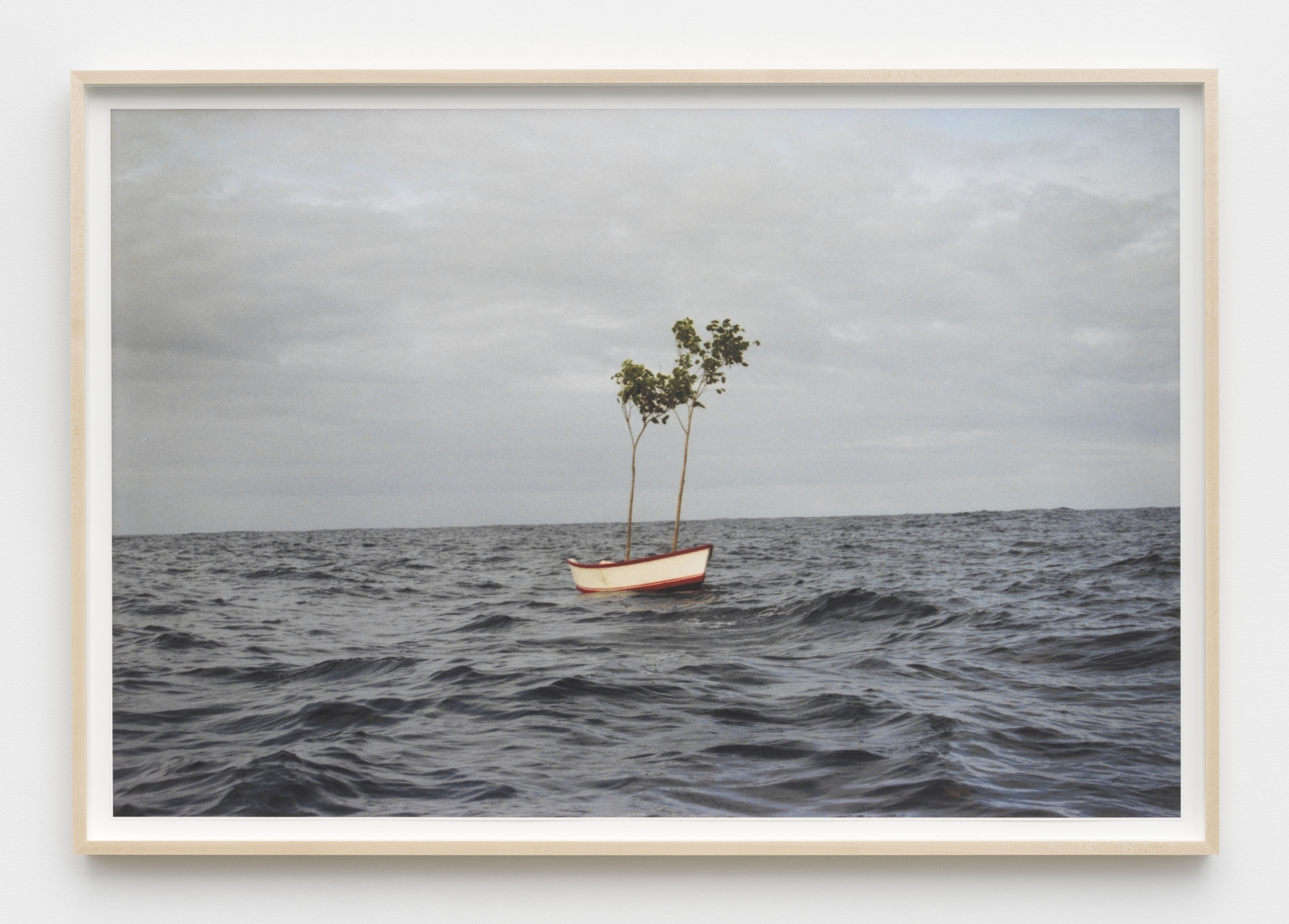 Thiago Rocha Pitta, Heritage, 2007