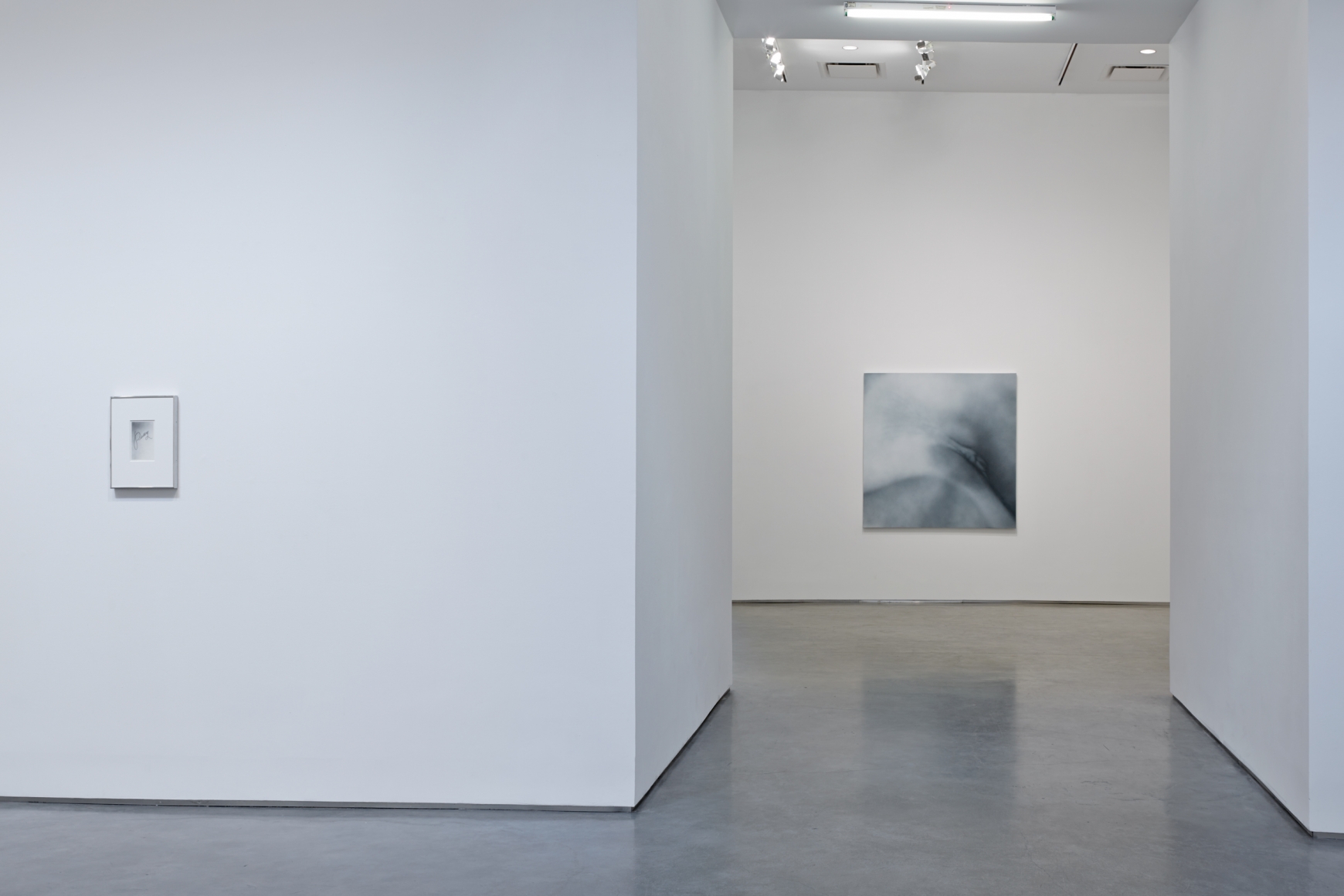 Sunsets and Pussy (Installation View), Marianne Boesky Gallery, 2013