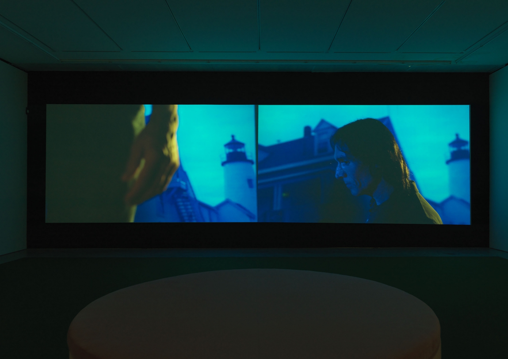The White Wolf (Installation View)